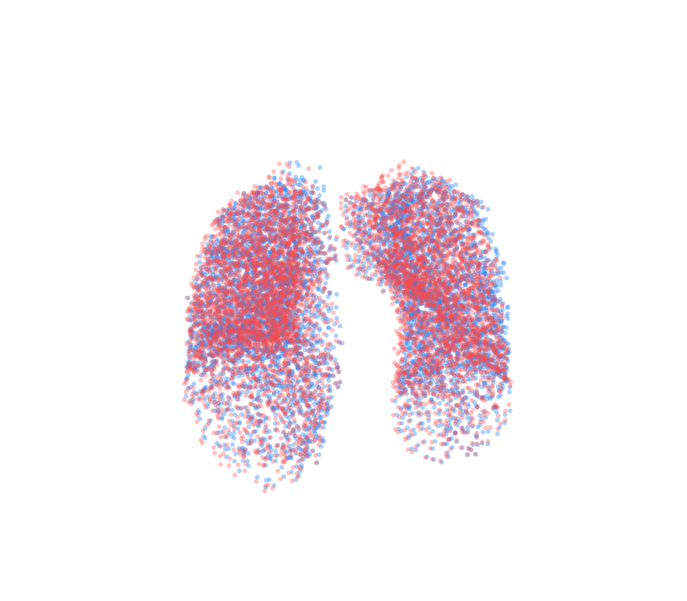 Point Cloud - Front View