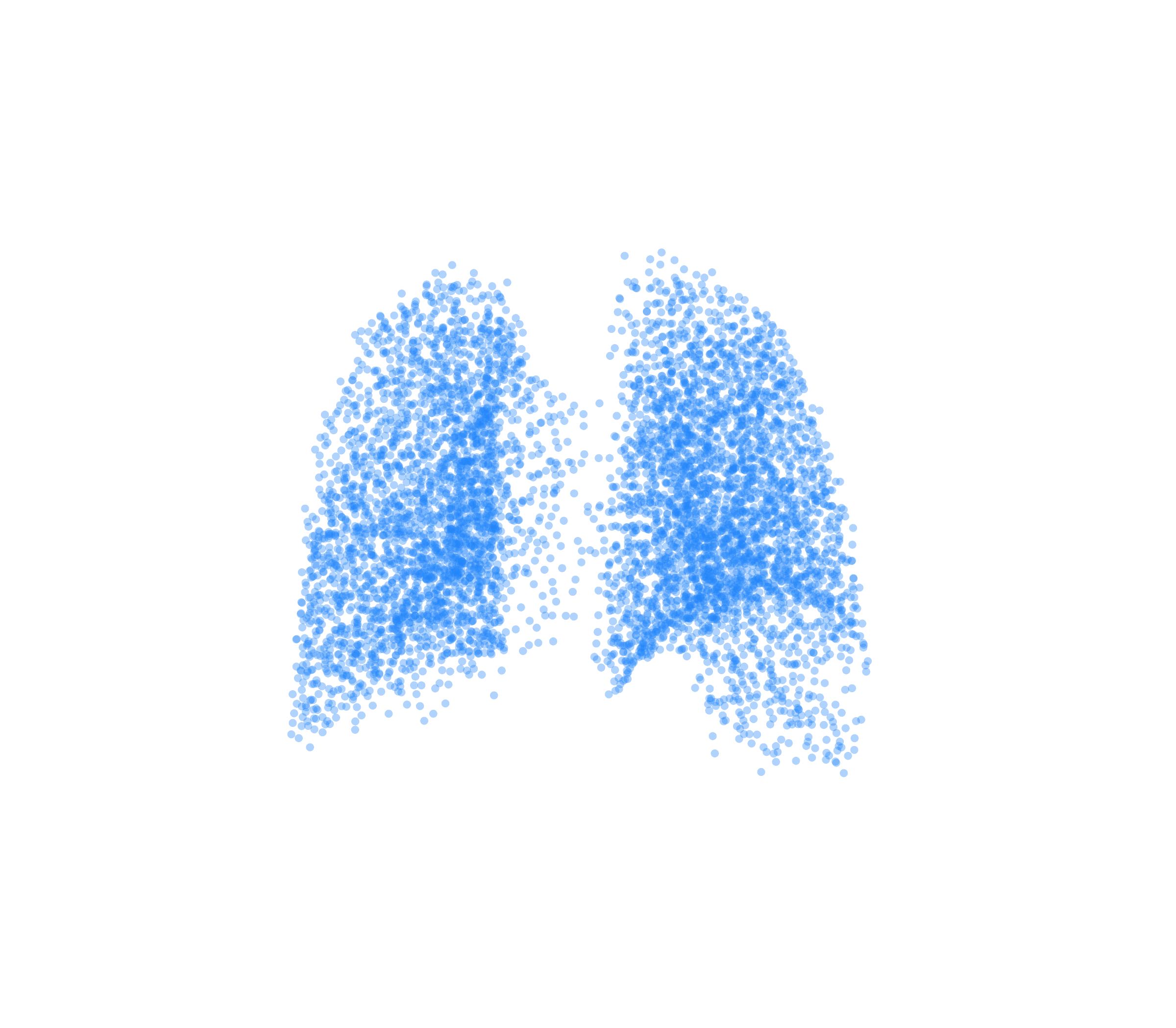 Point Cloud (Inspiration) - Back View