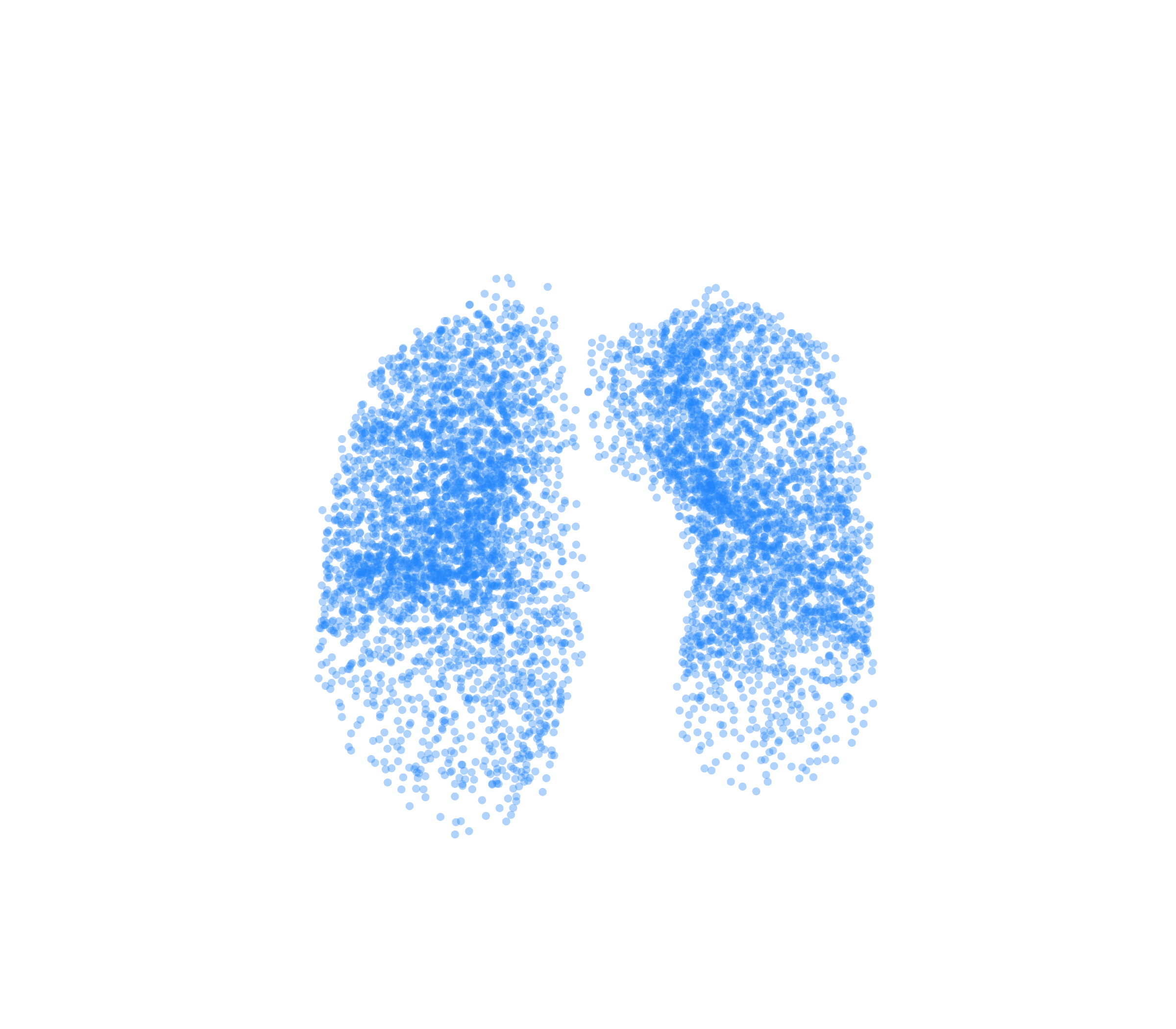 Point Cloud (Inspiration) - Front View