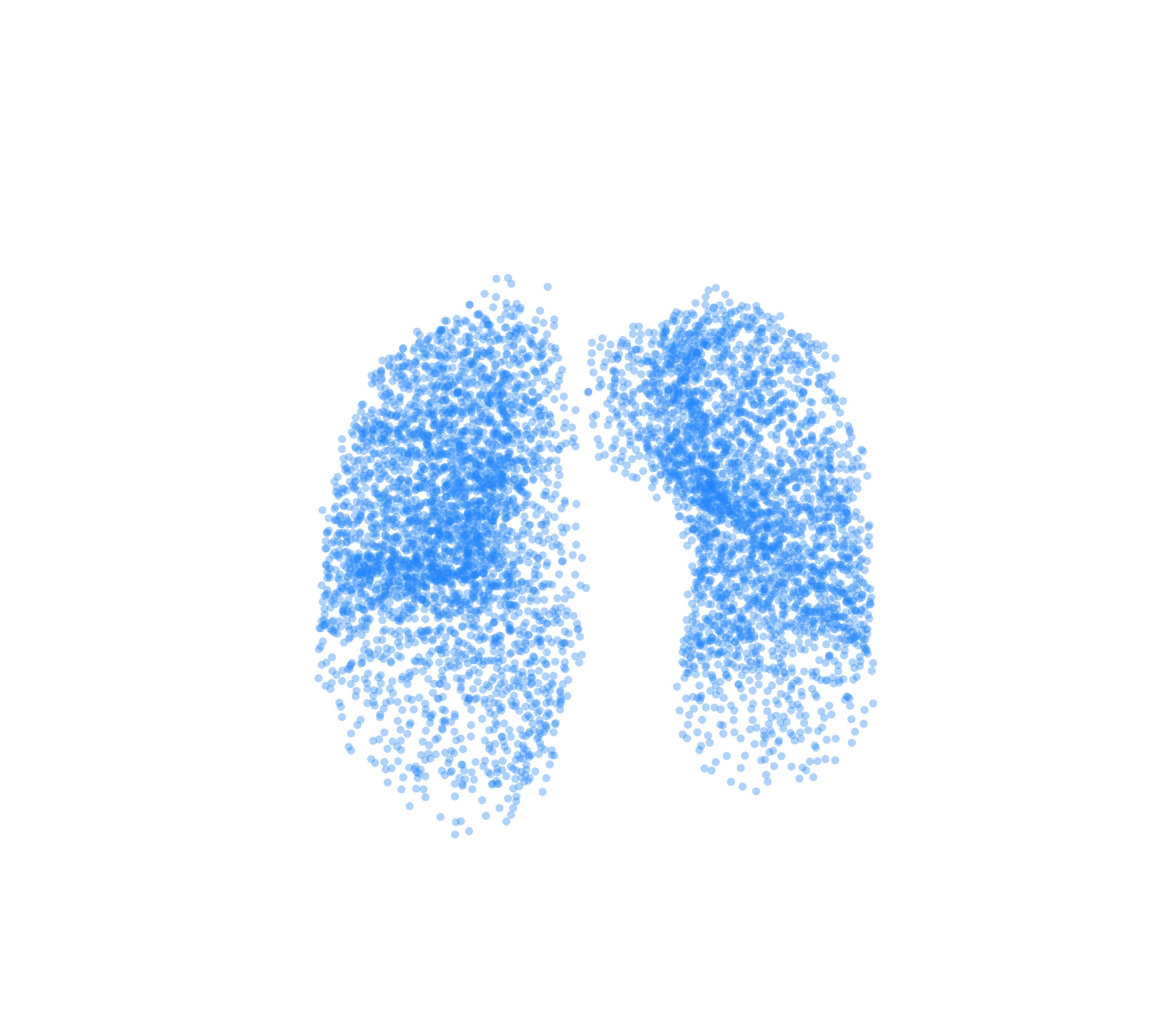 Point Cloud (Inspiration) - Front View