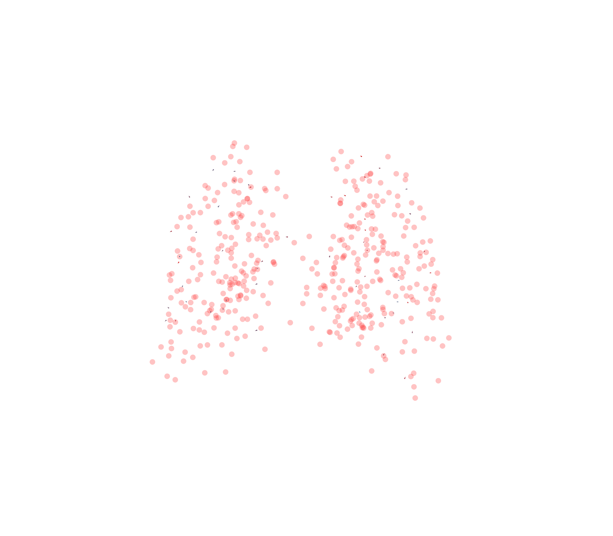 Displacement Vectors - Back View