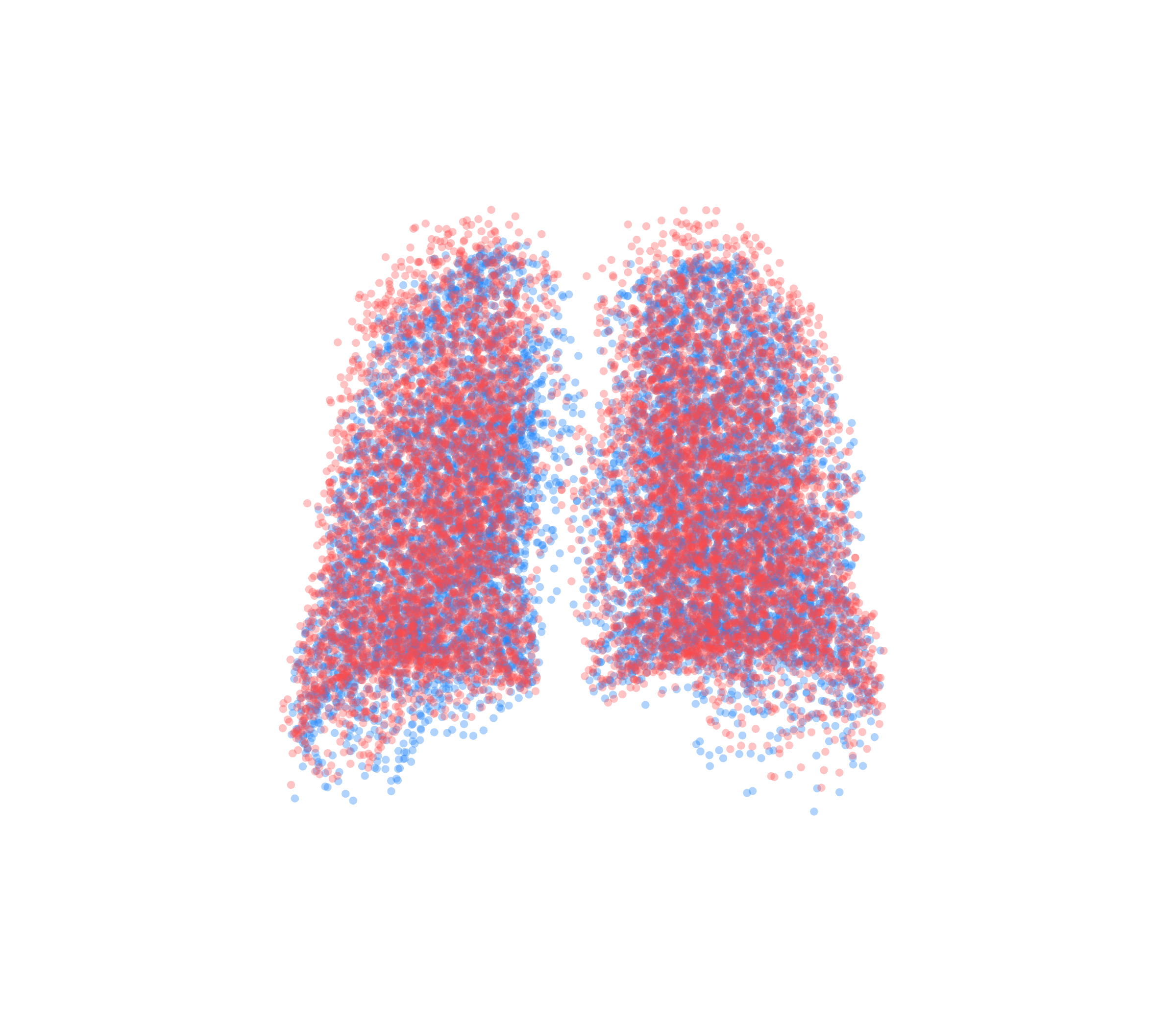 Point Cloud - Back View