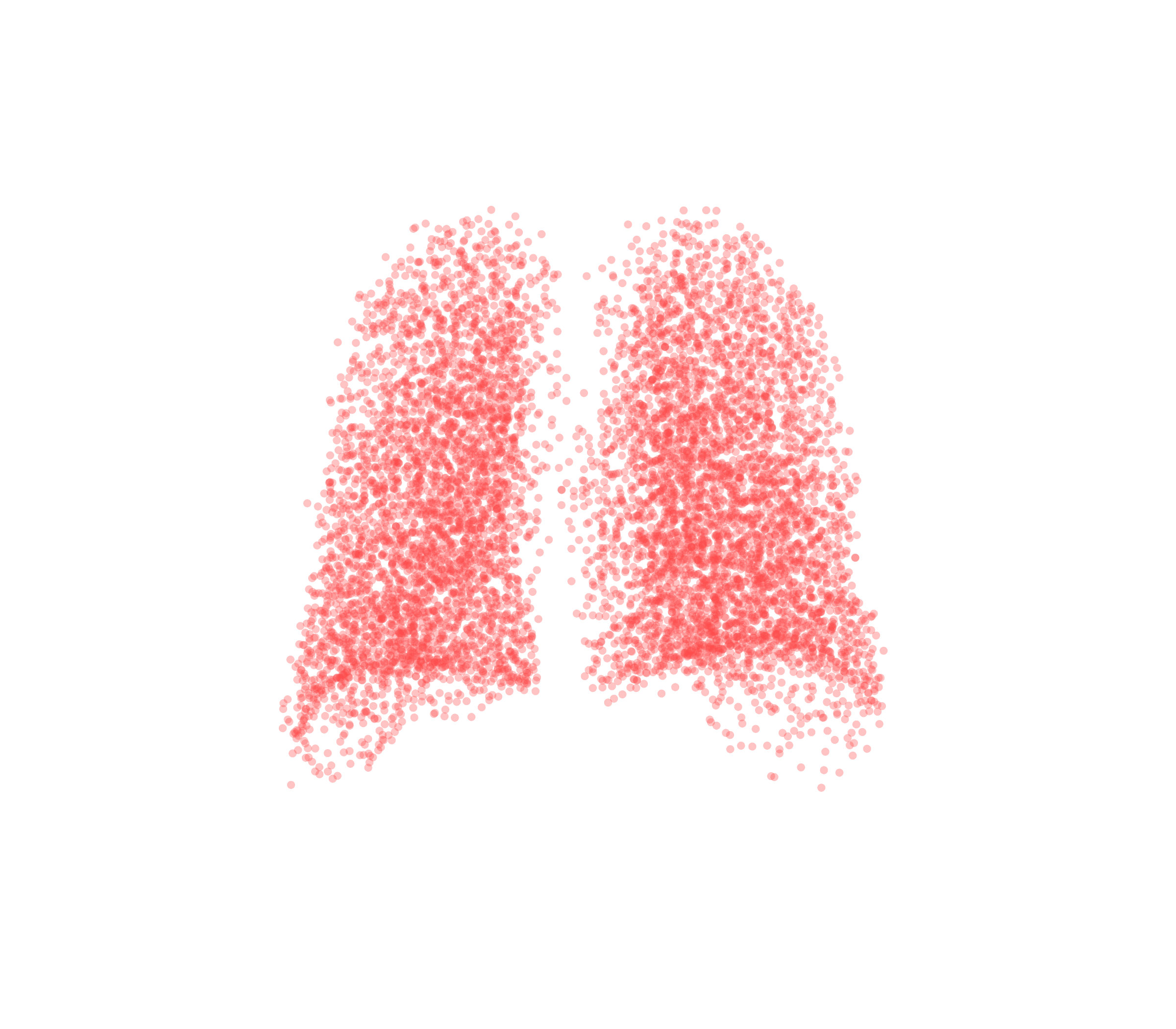 Point Cloud (Expiration) - Back View