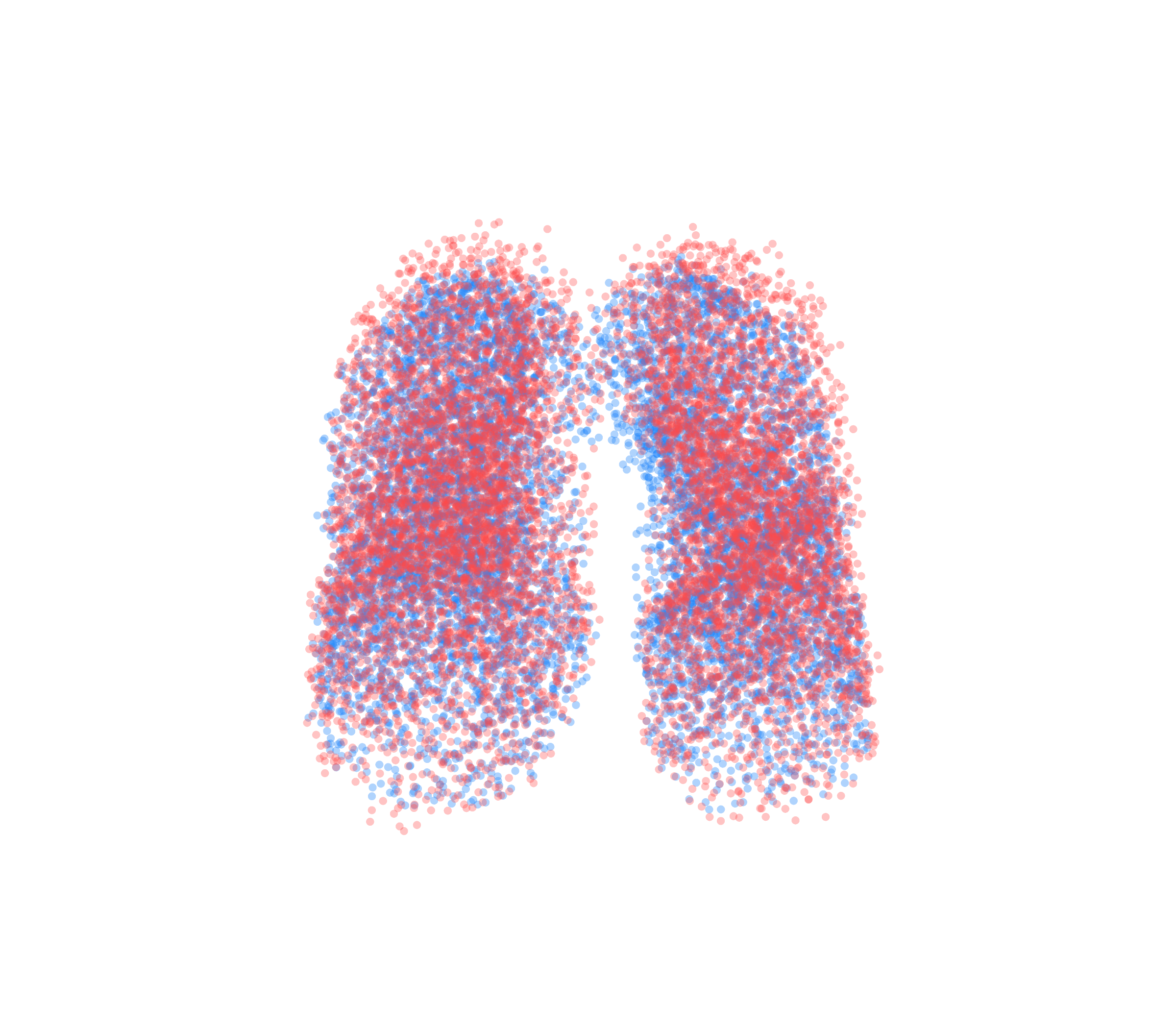 Point Cloud - Front View