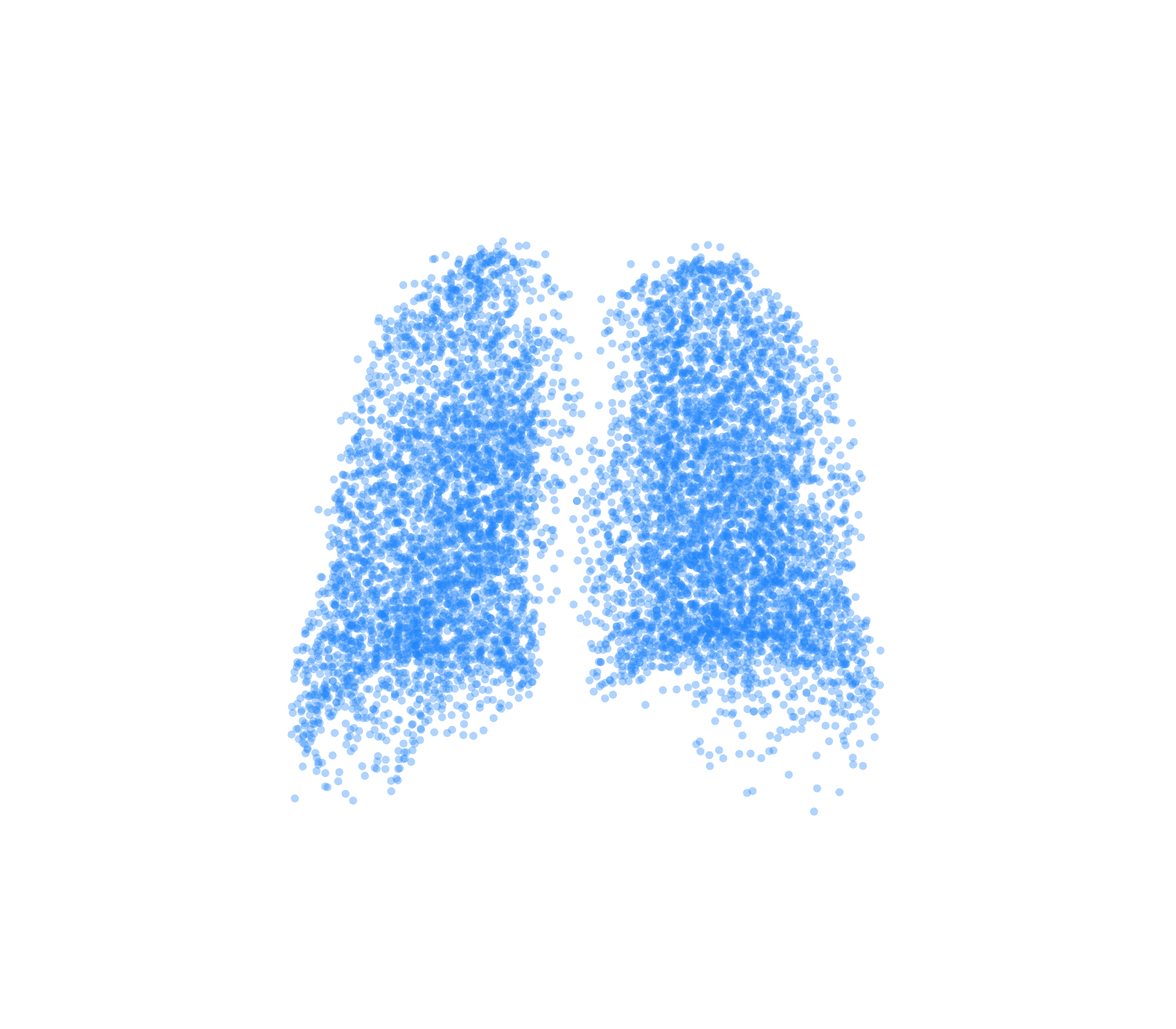 Point Cloud (Inspiration) - Back View