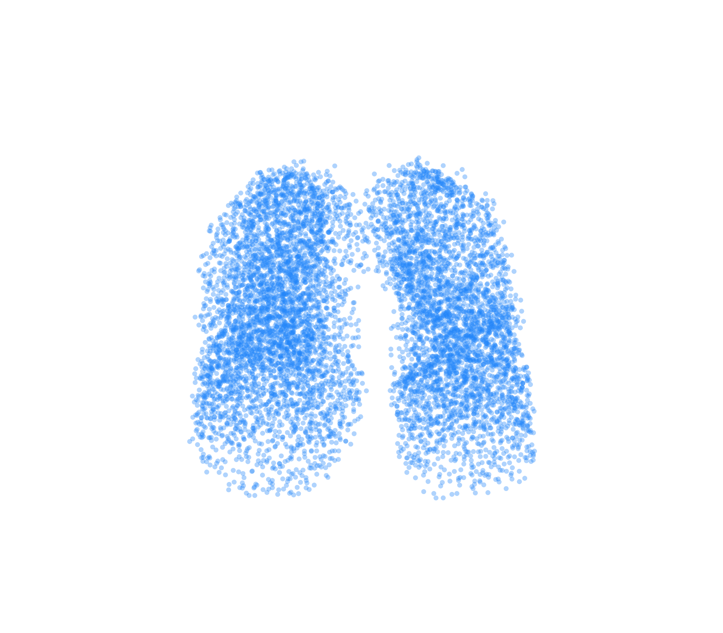 Point Cloud (Inspiration) - Front View