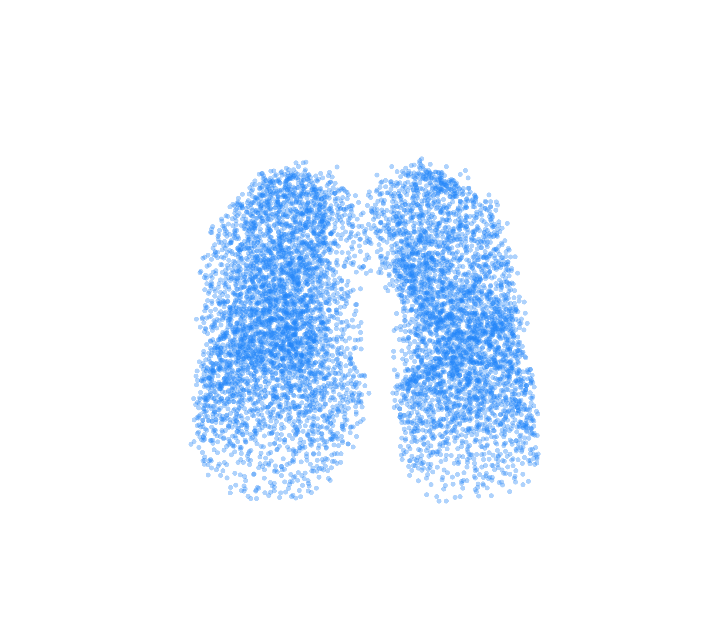 Point Cloud (Inspiration) - Front View