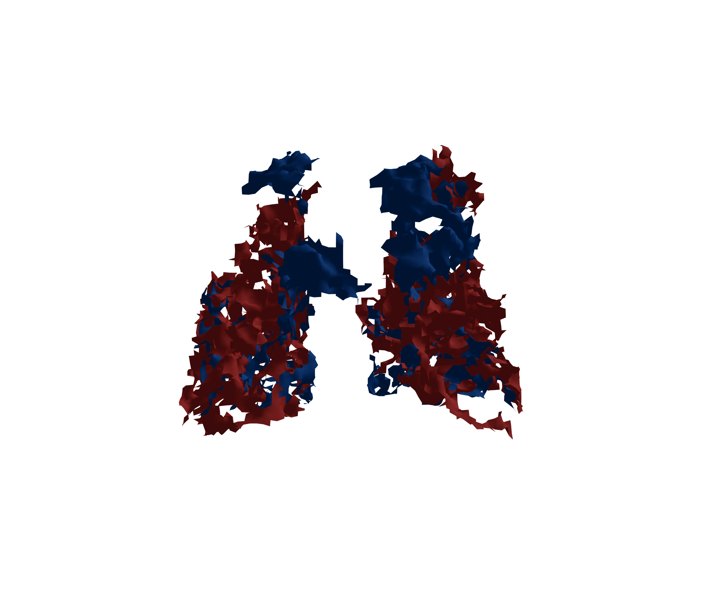 Surface Mesh - Back View