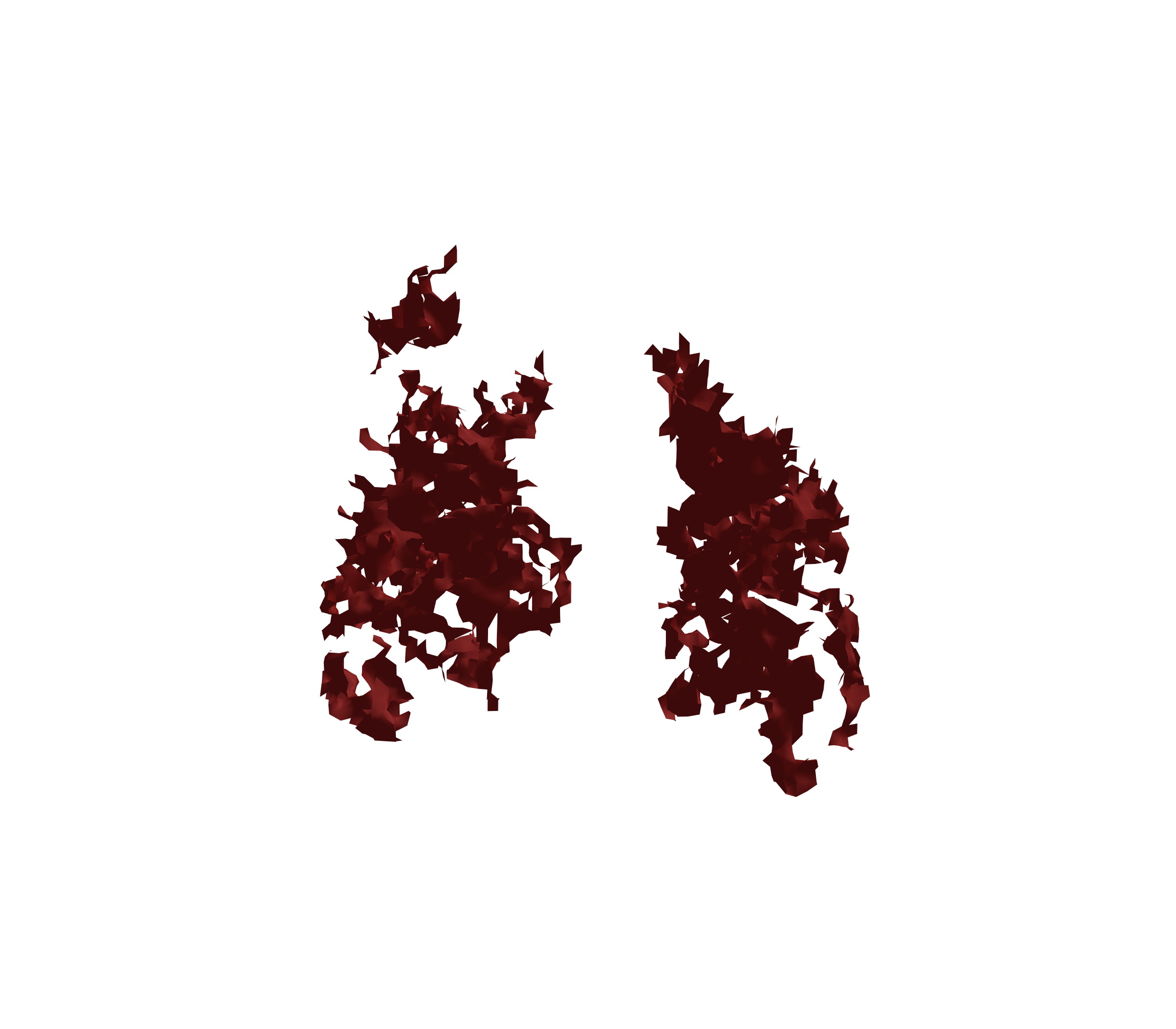 Surface Mesh (Expiration) - Front View