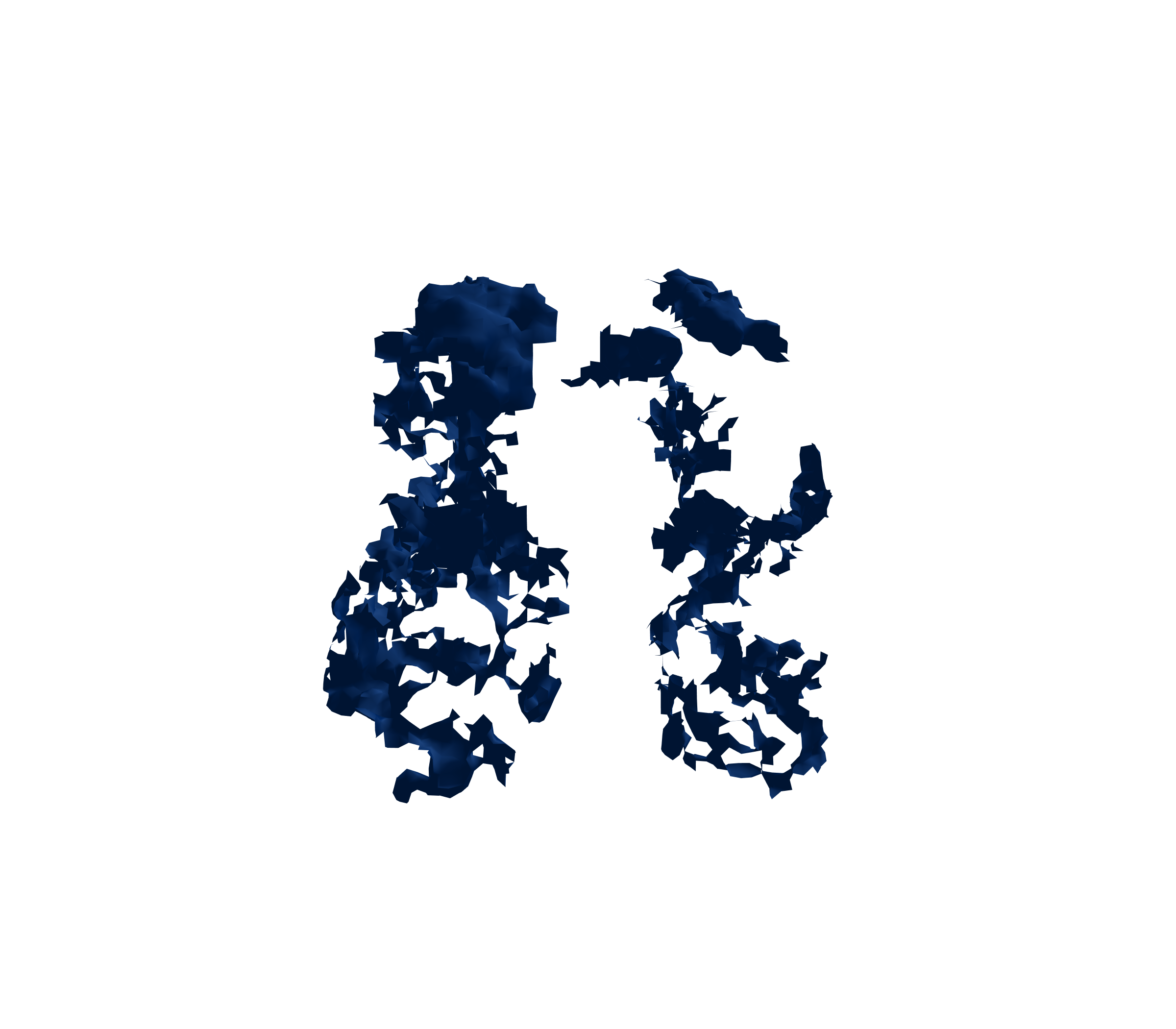 Surface Mesh (Inspiration) - Front View