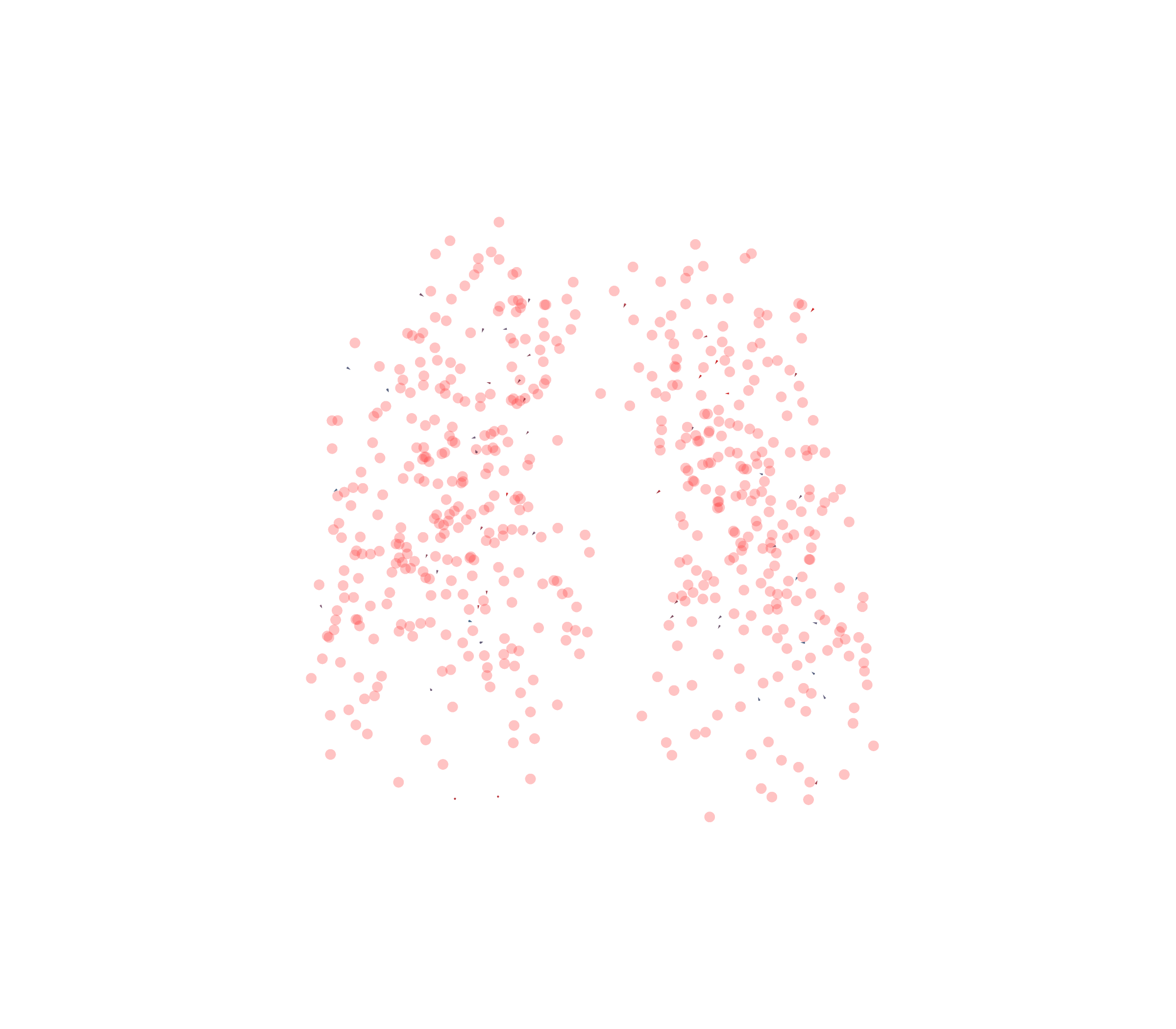 Displacement Vectors - Front View