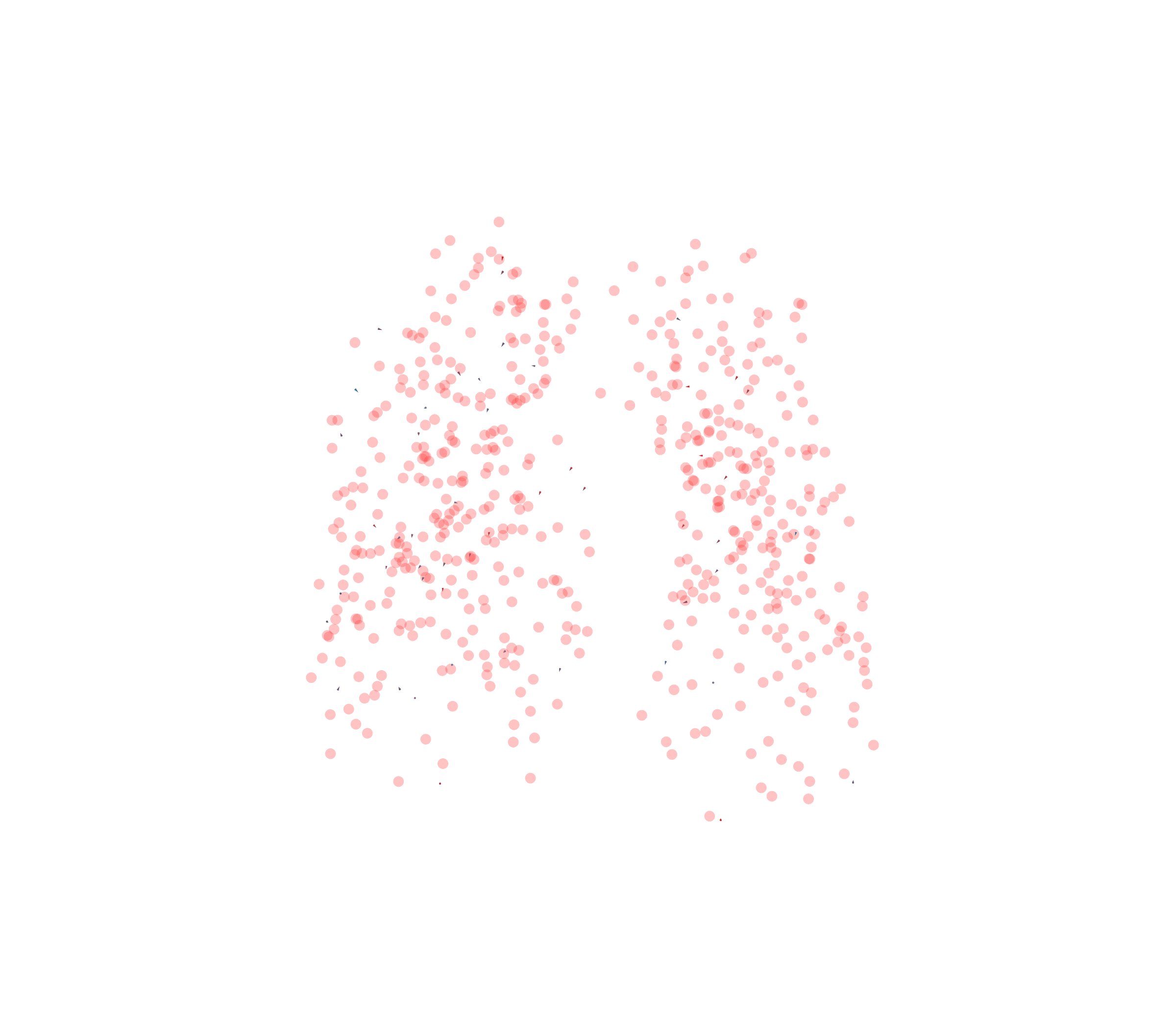 Displacement Vectors - Front View