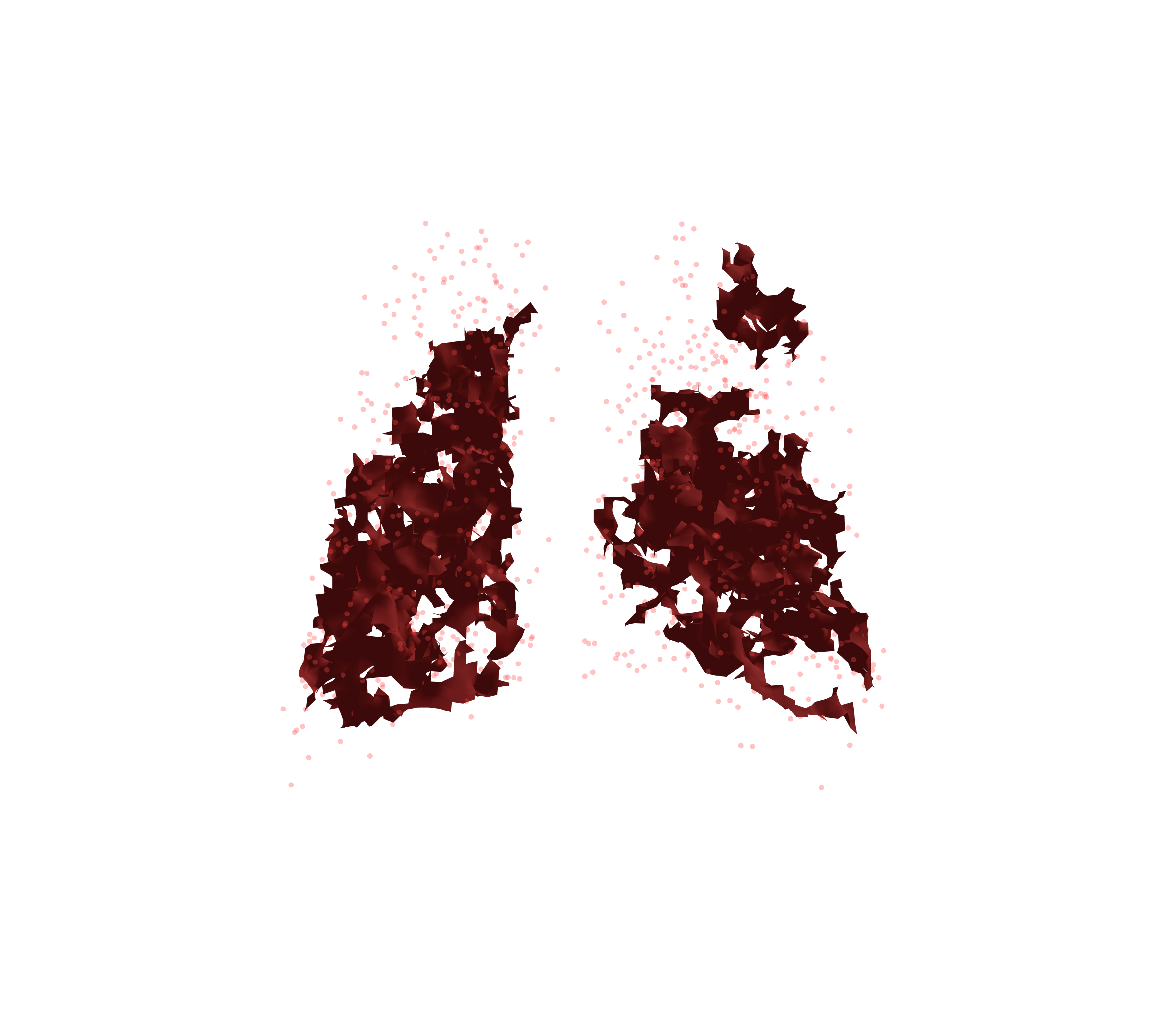 Combined Visualization (Expiration) - Back View