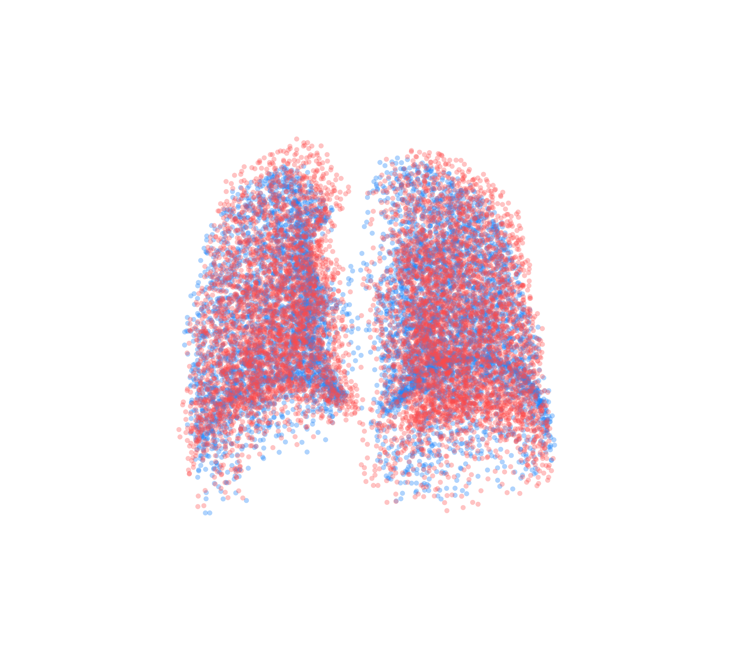 Point Cloud - Back View