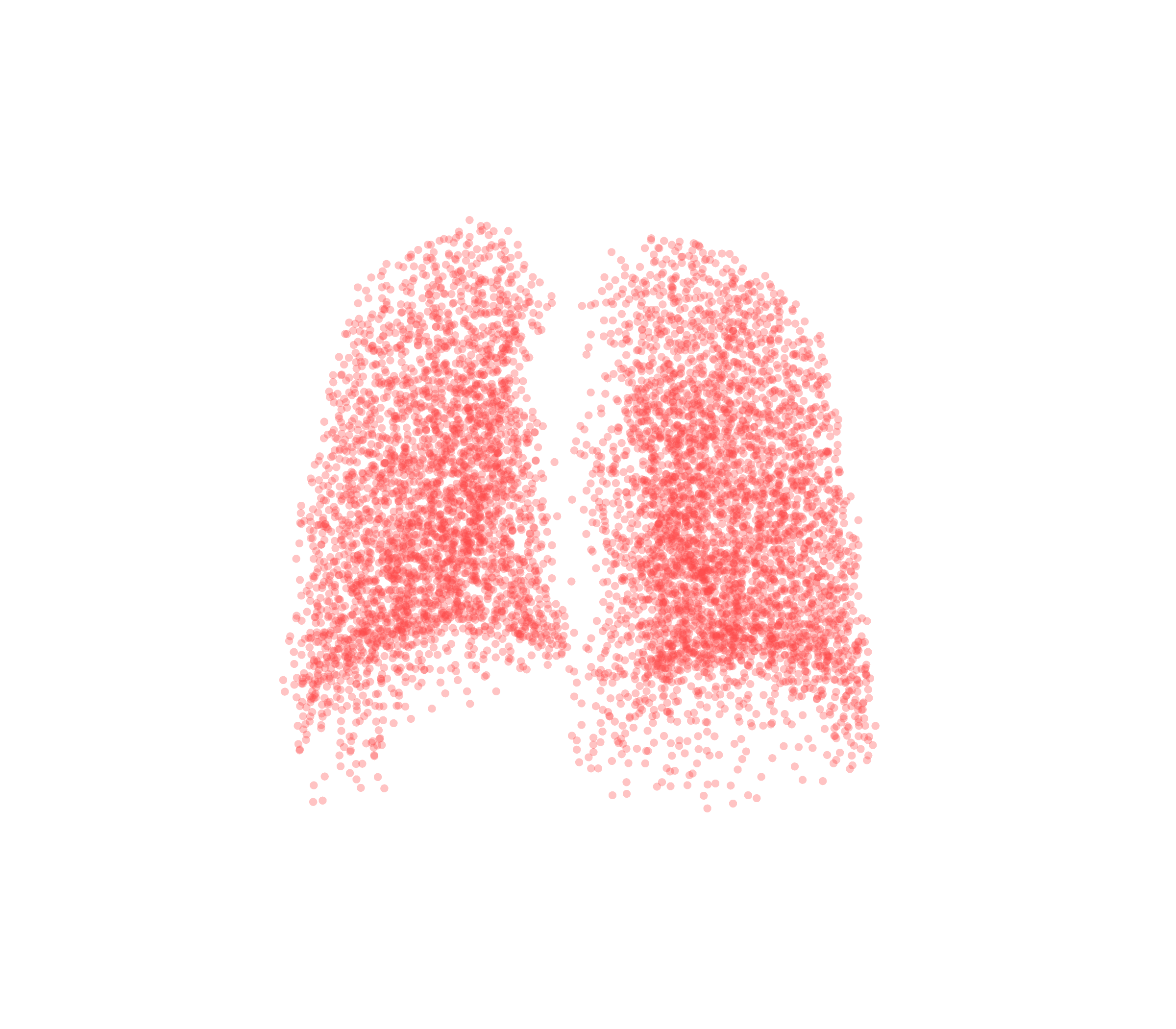 Point Cloud (Expiration) - Back View