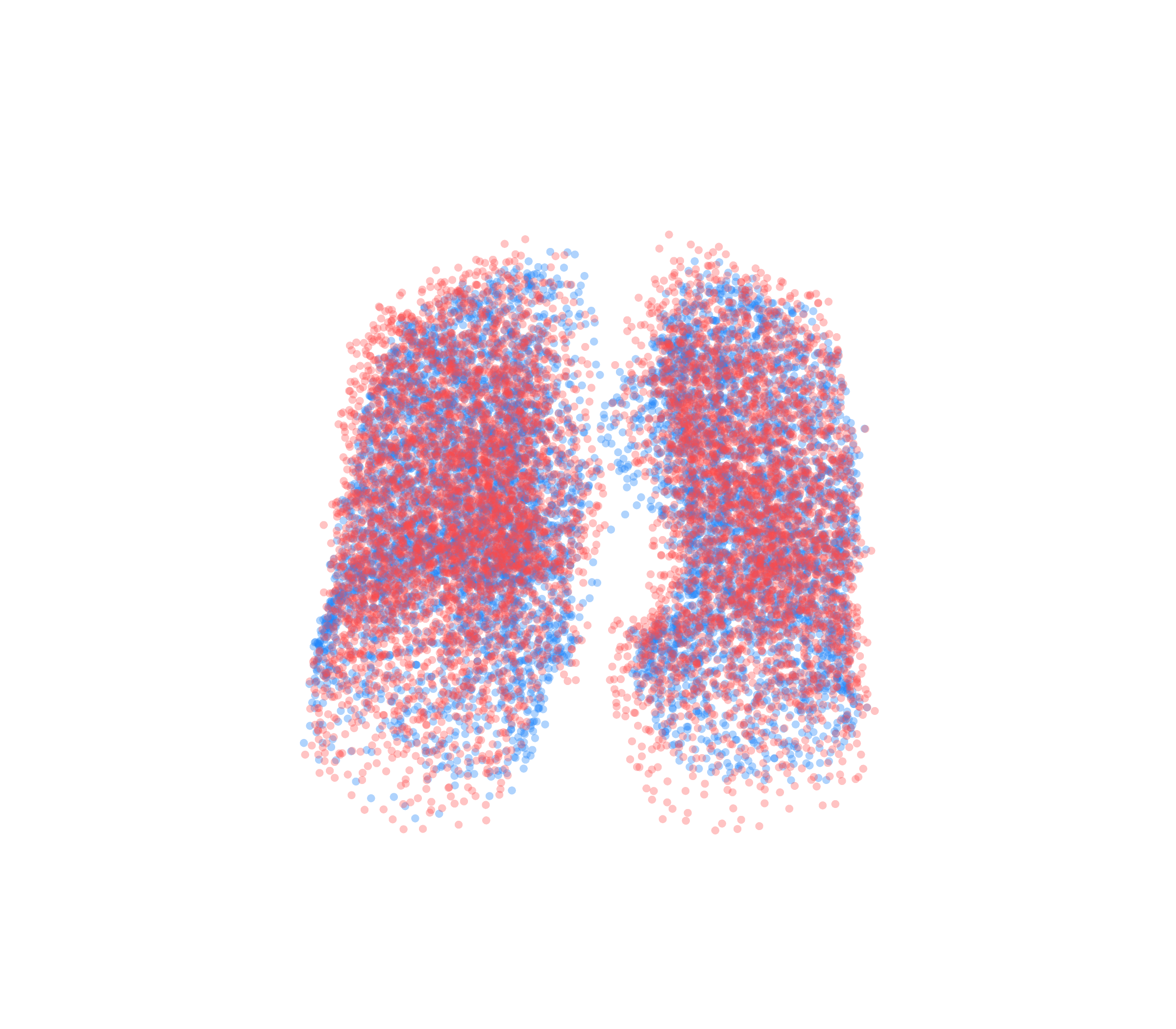 Point Cloud - Front View