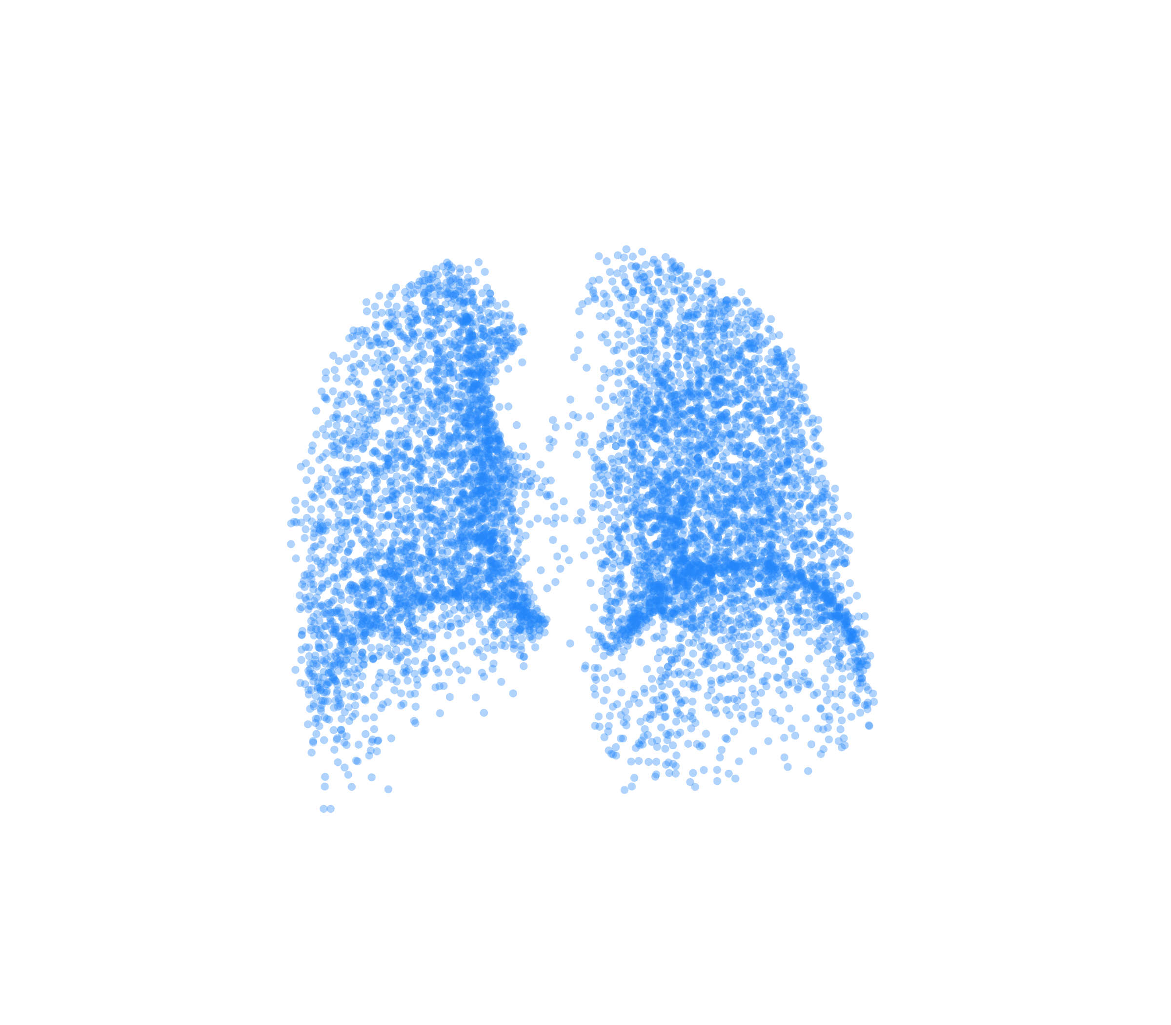 Point Cloud (Inspiration) - Back View