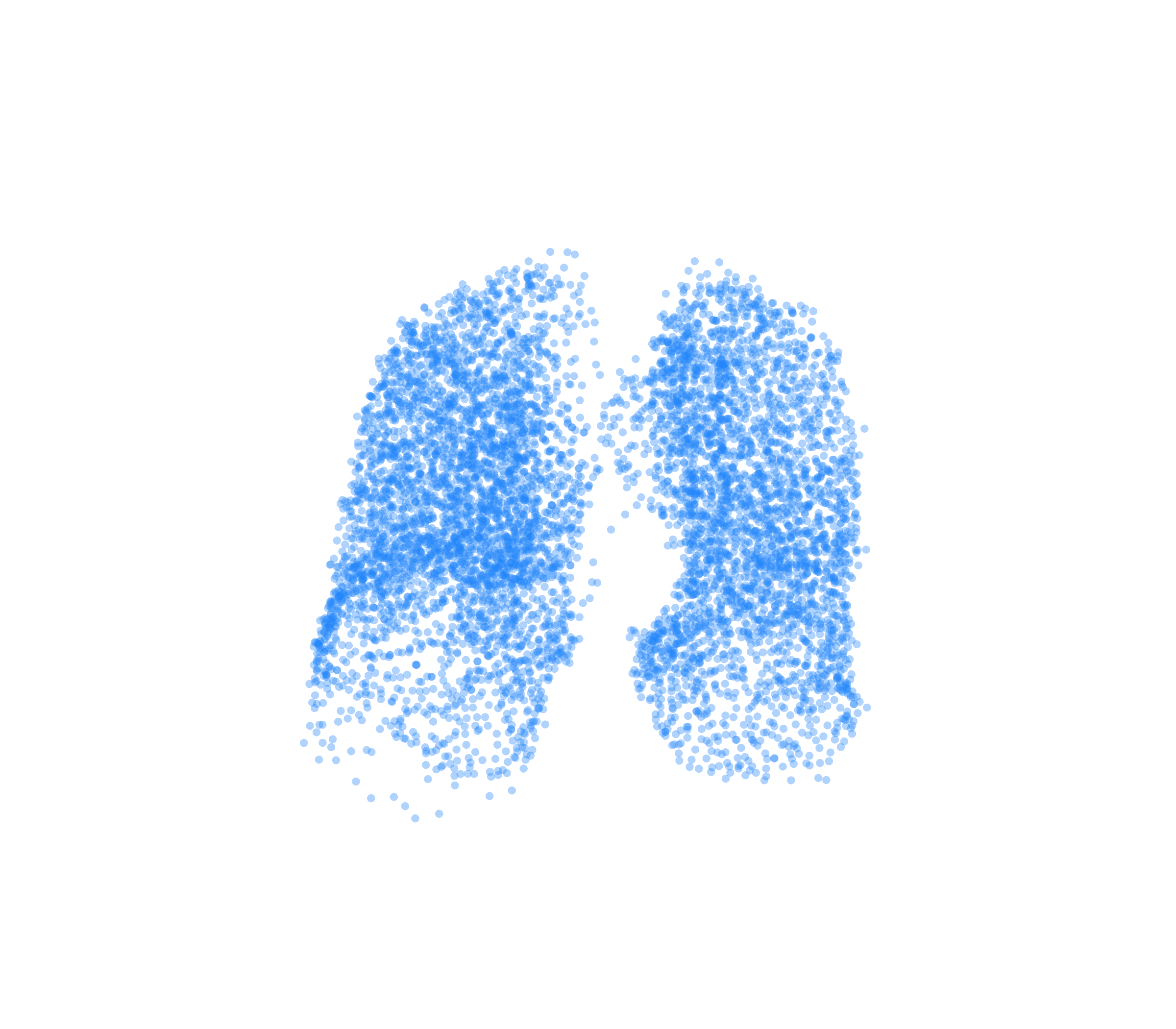 Point Cloud (Inspiration) - Front View