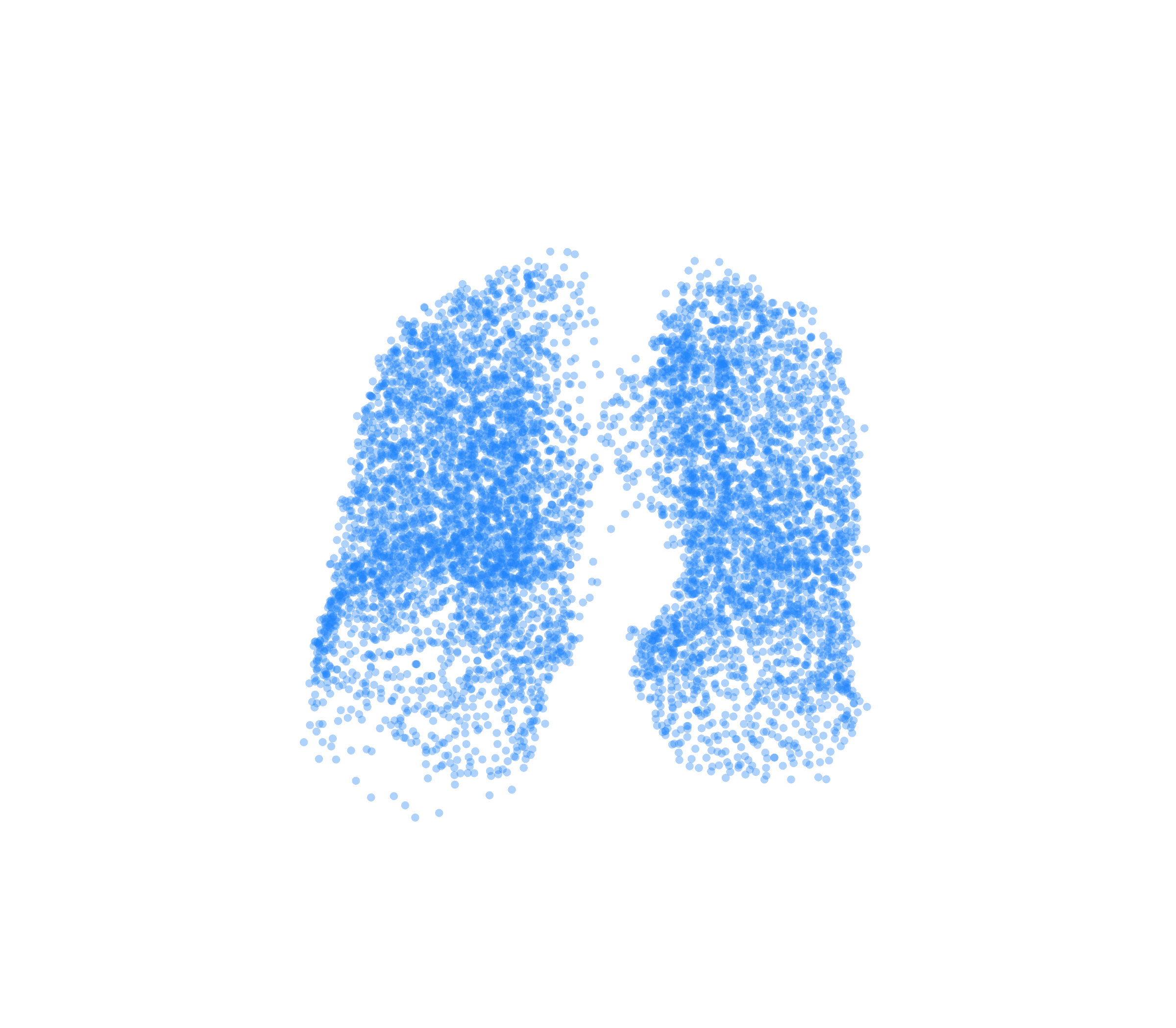 Point Cloud (Inspiration) - Front View