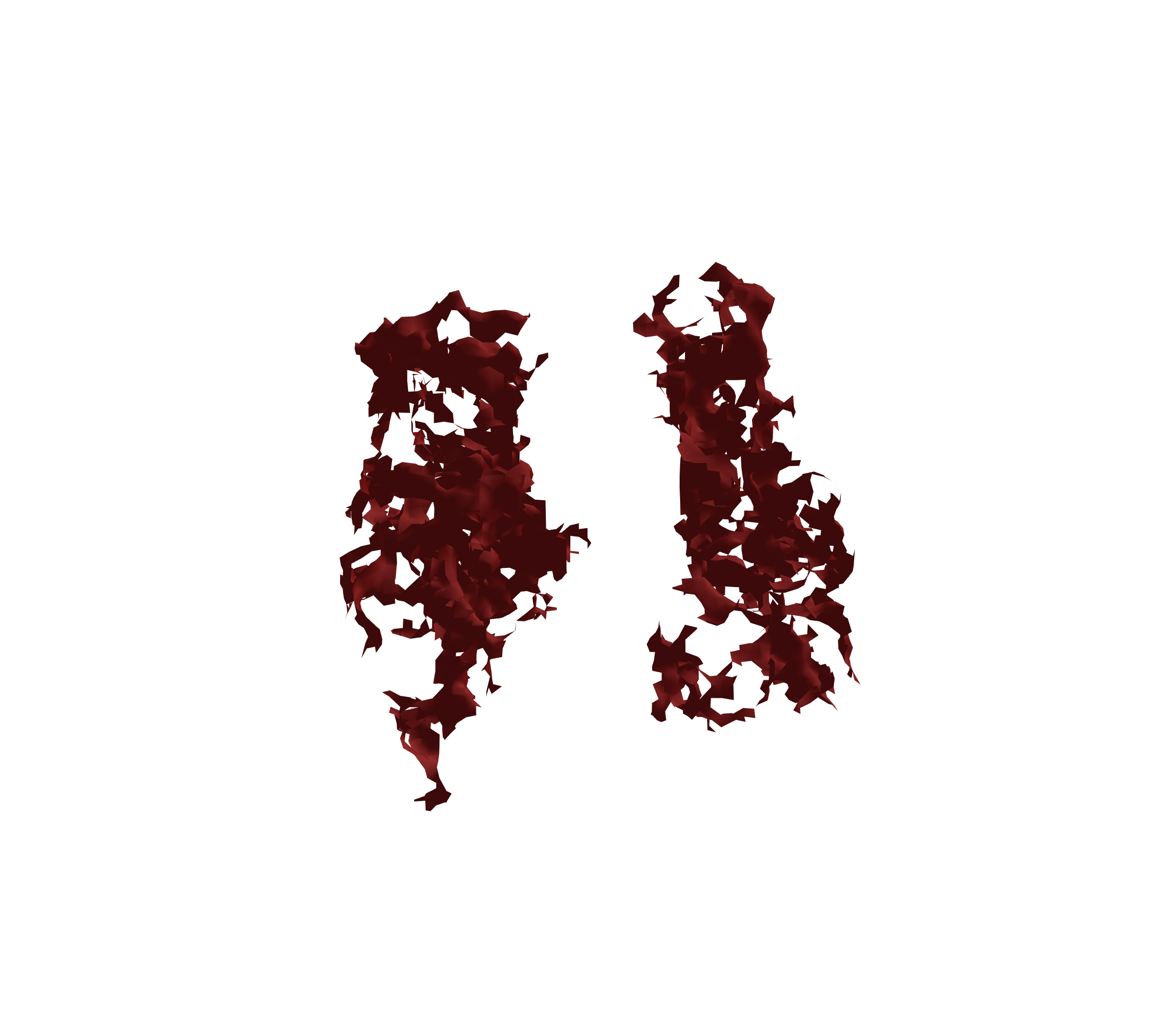 Surface Mesh (Expiration) - Front View