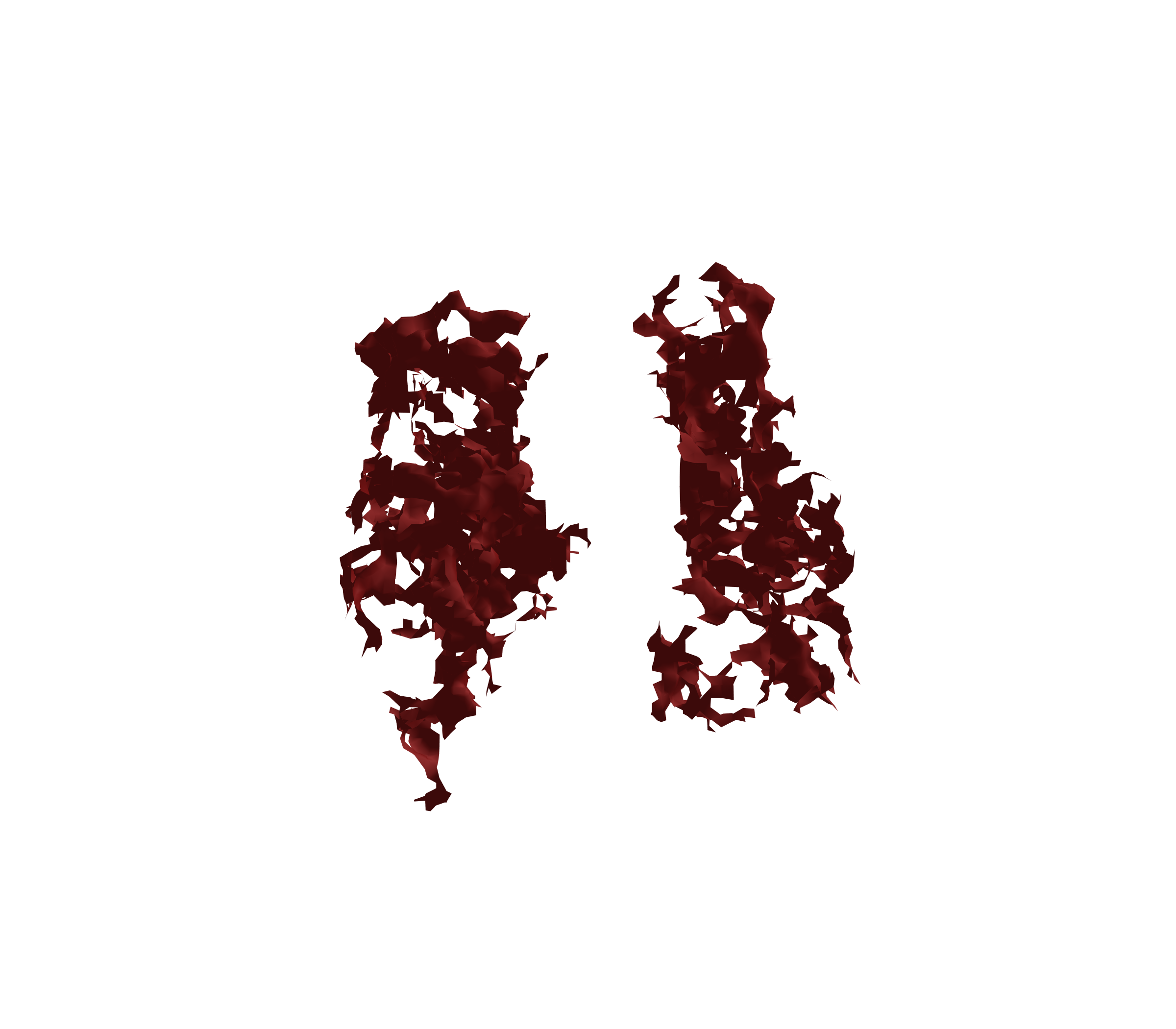 Surface Mesh (Expiration) - Front View