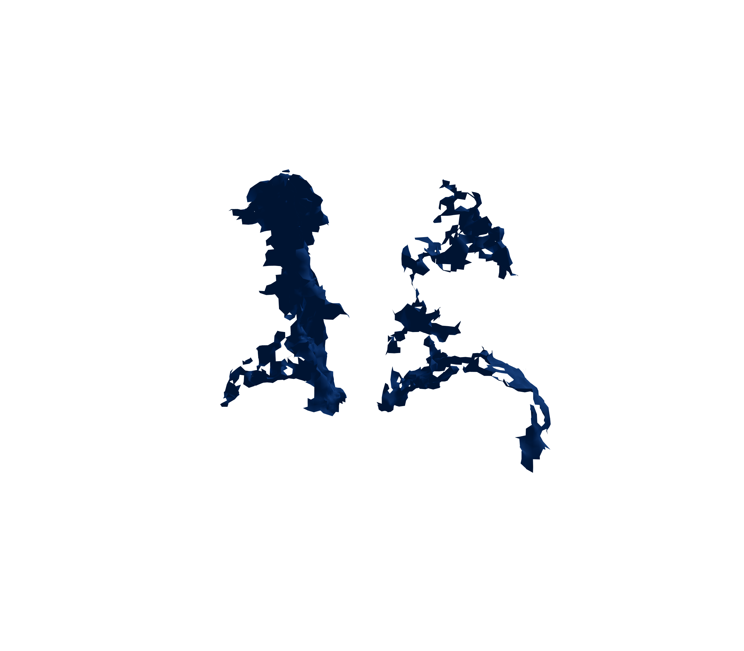 Surface Mesh (Inspiration) - Back View