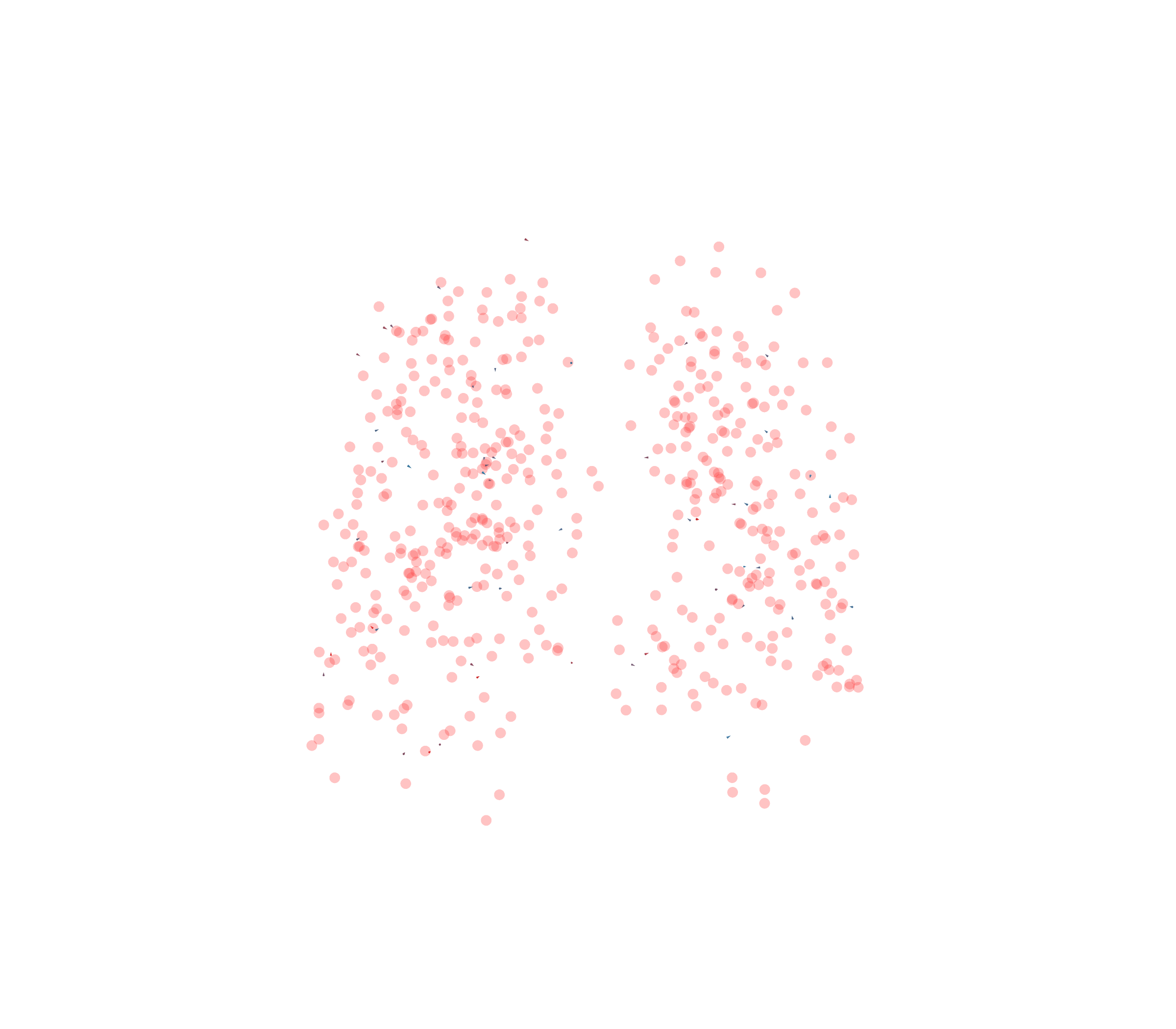 Displacement Vectors - Front View