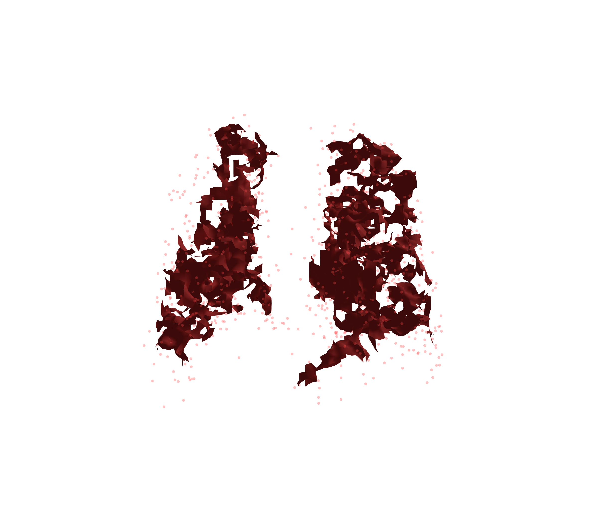 Combined Visualization (Expiration) - Back View