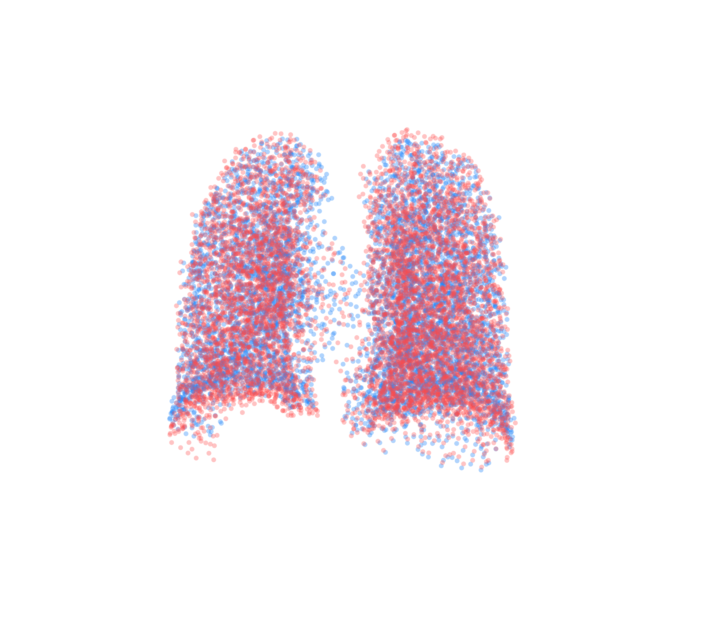 Point Cloud - Back View
