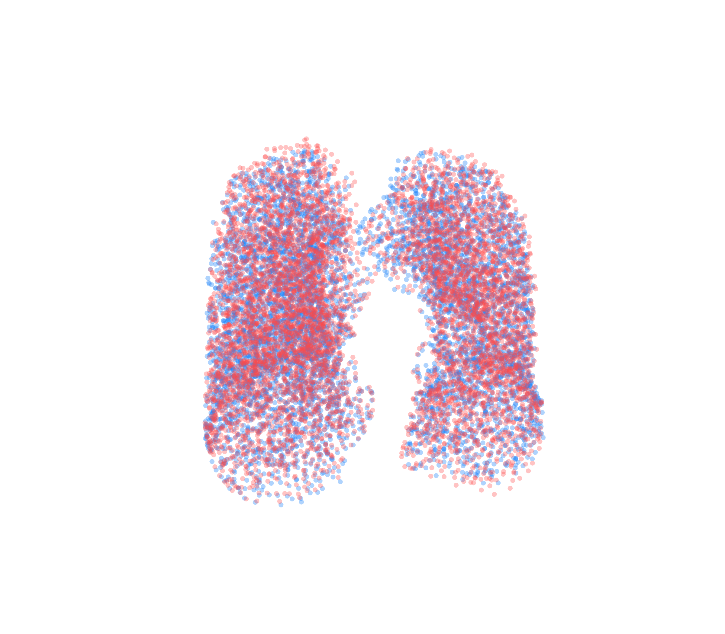 Point Cloud - Front View