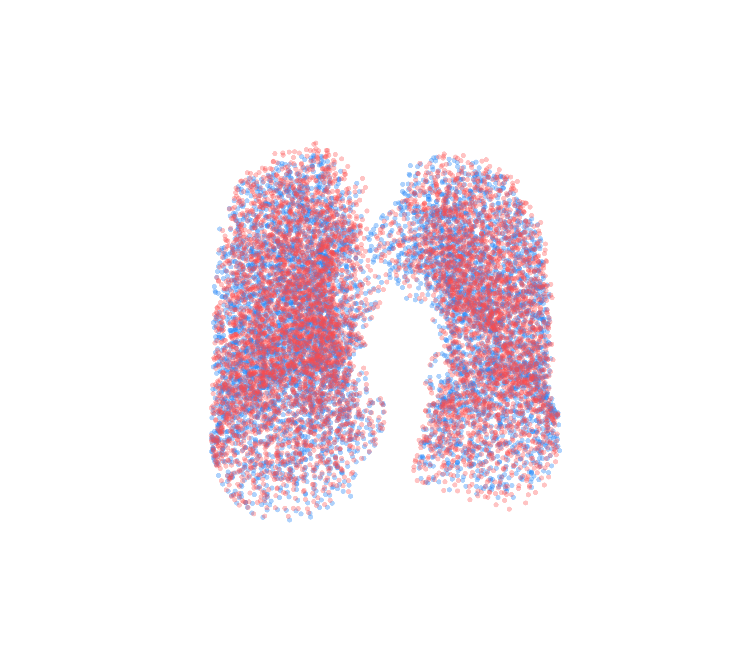 Point Cloud - Front View