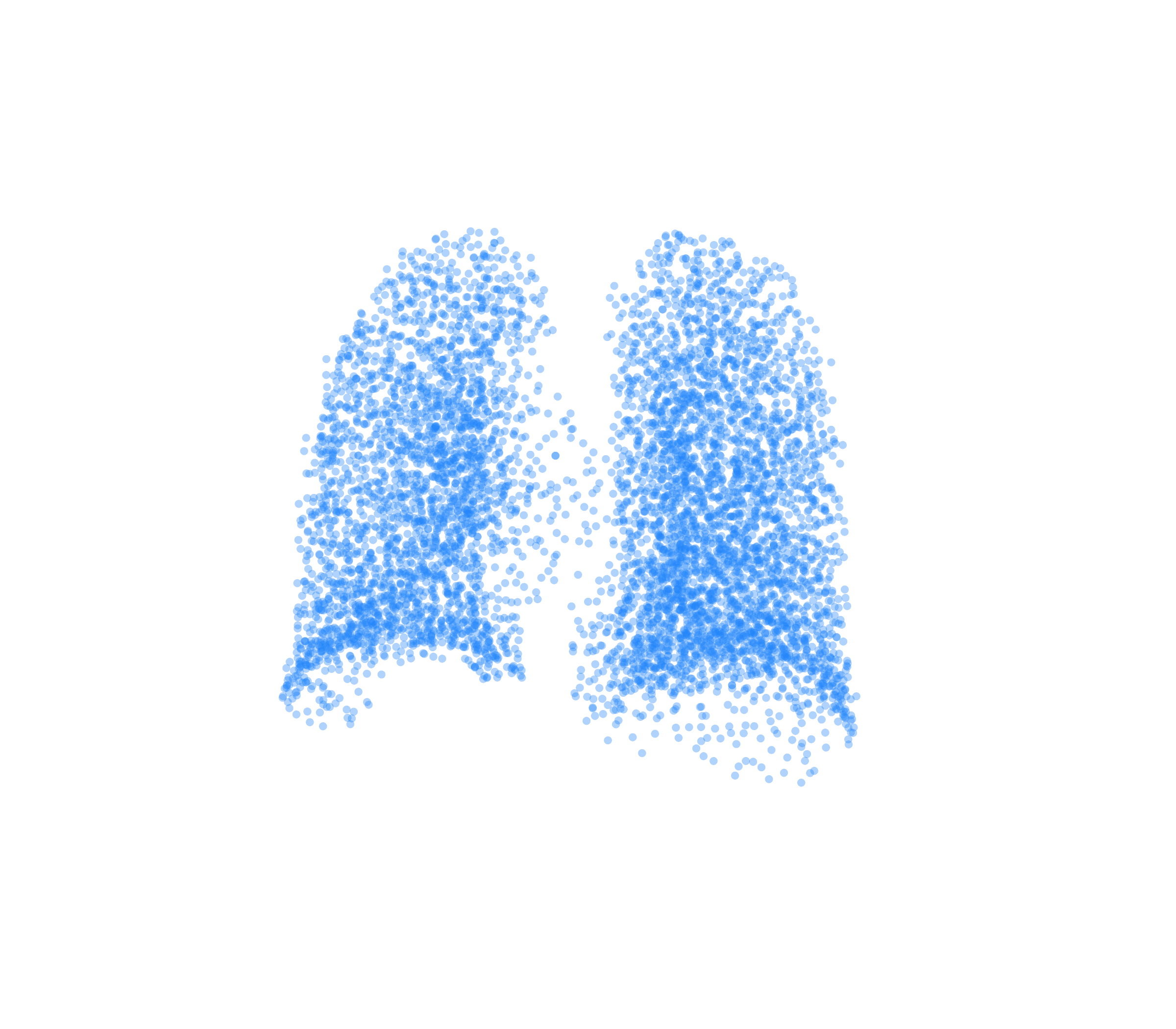 Point Cloud (Inspiration) - Back View