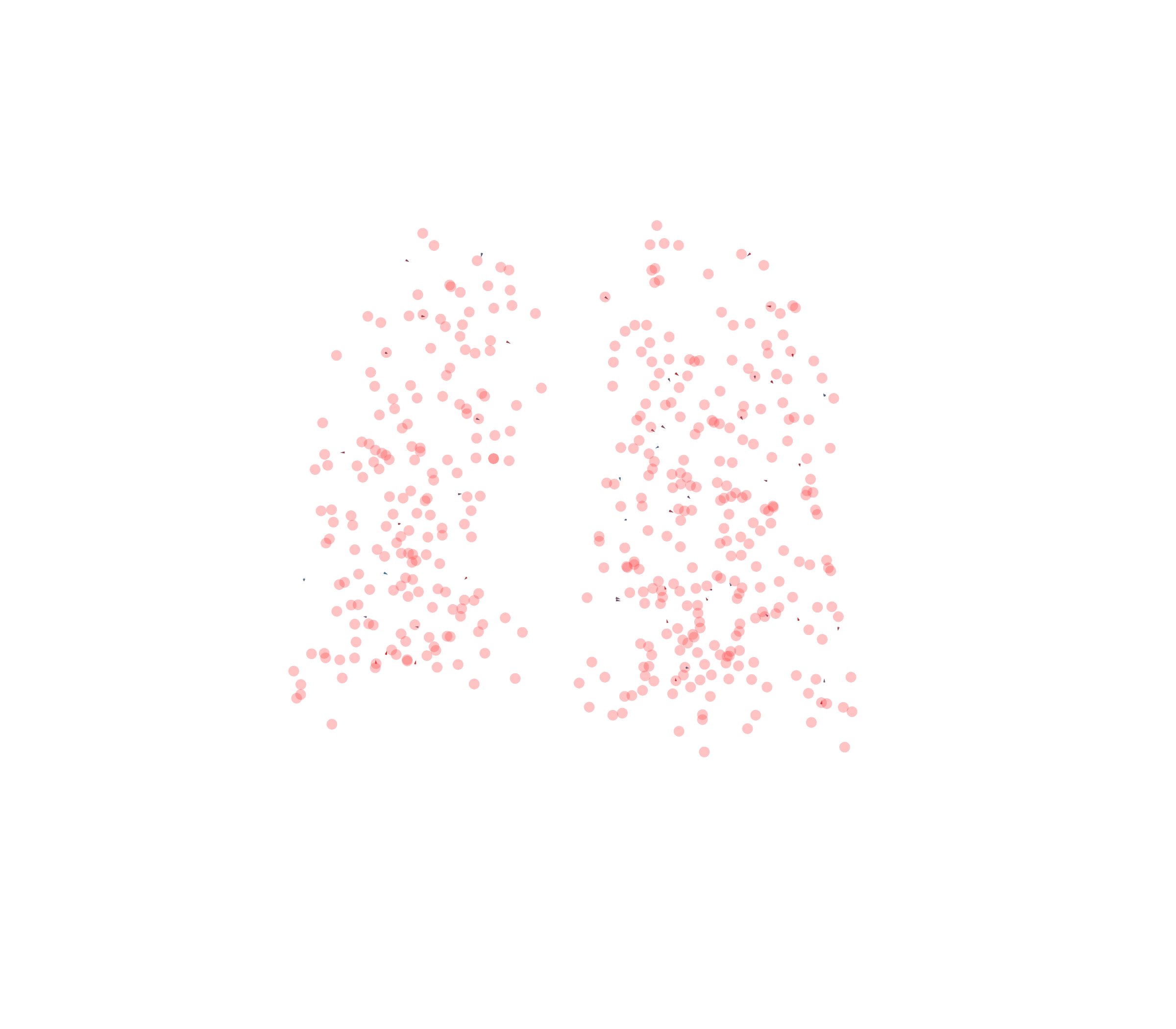 Displacement Vectors - Back View