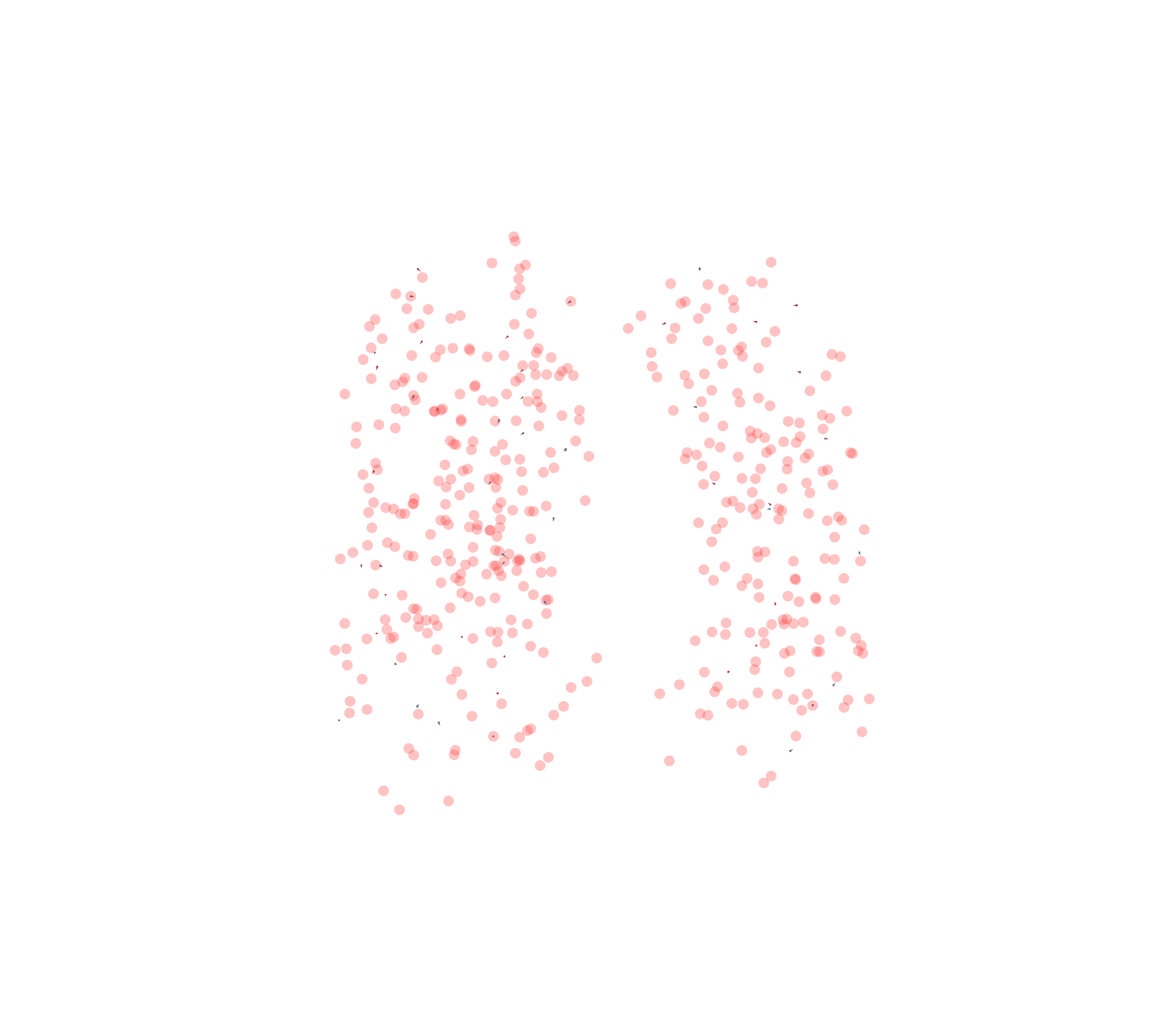 Displacement Vectors - Front View