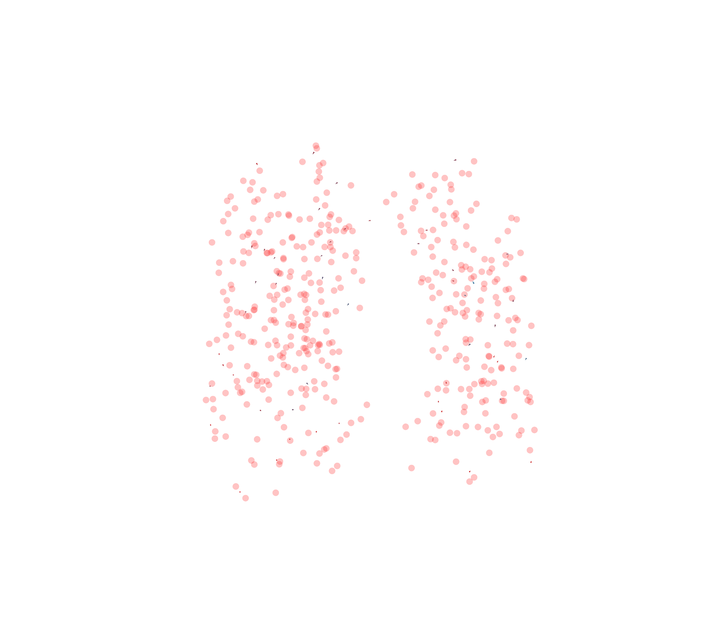 Displacement Vectors - Front View
