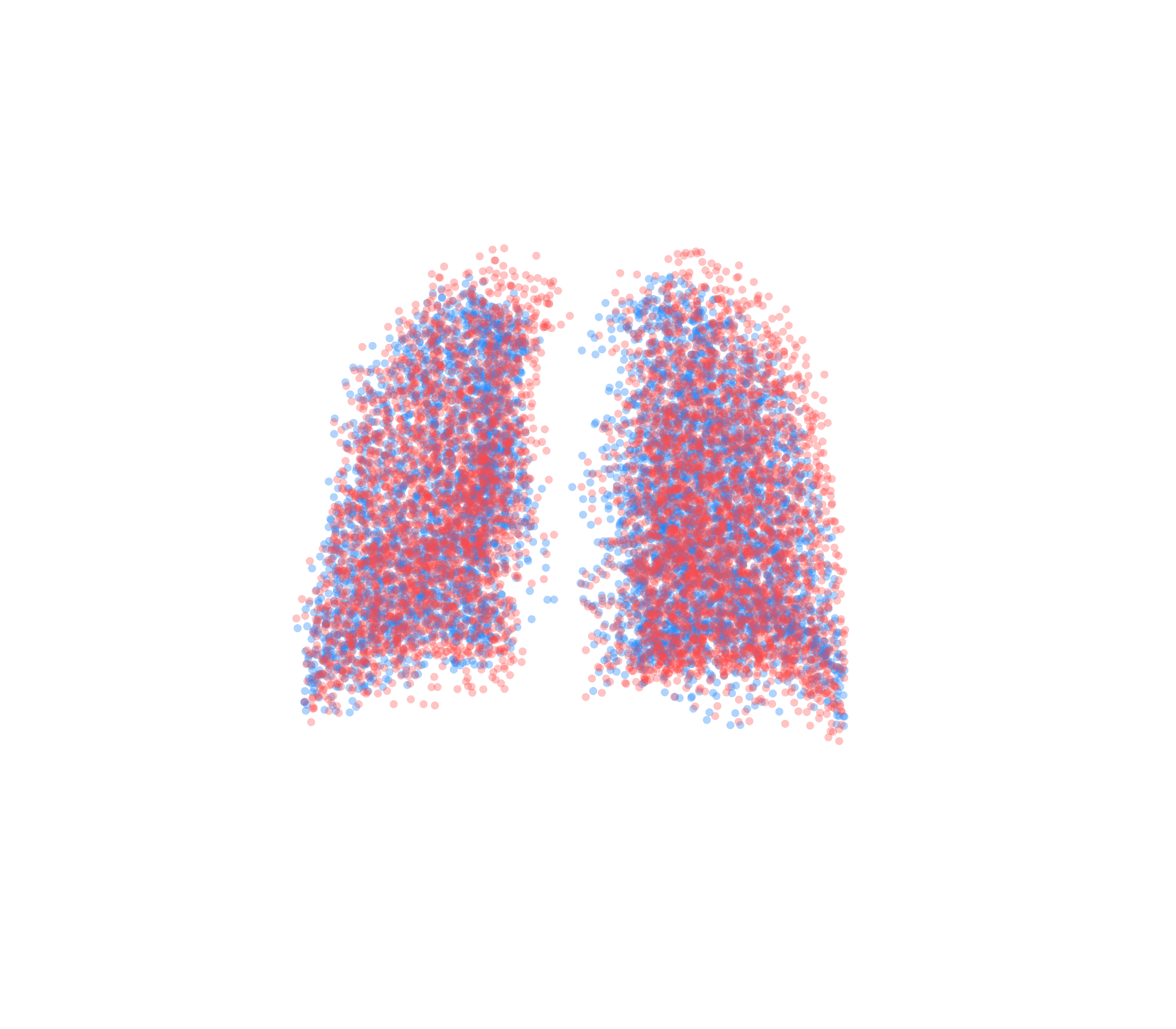 Point Cloud - Back View