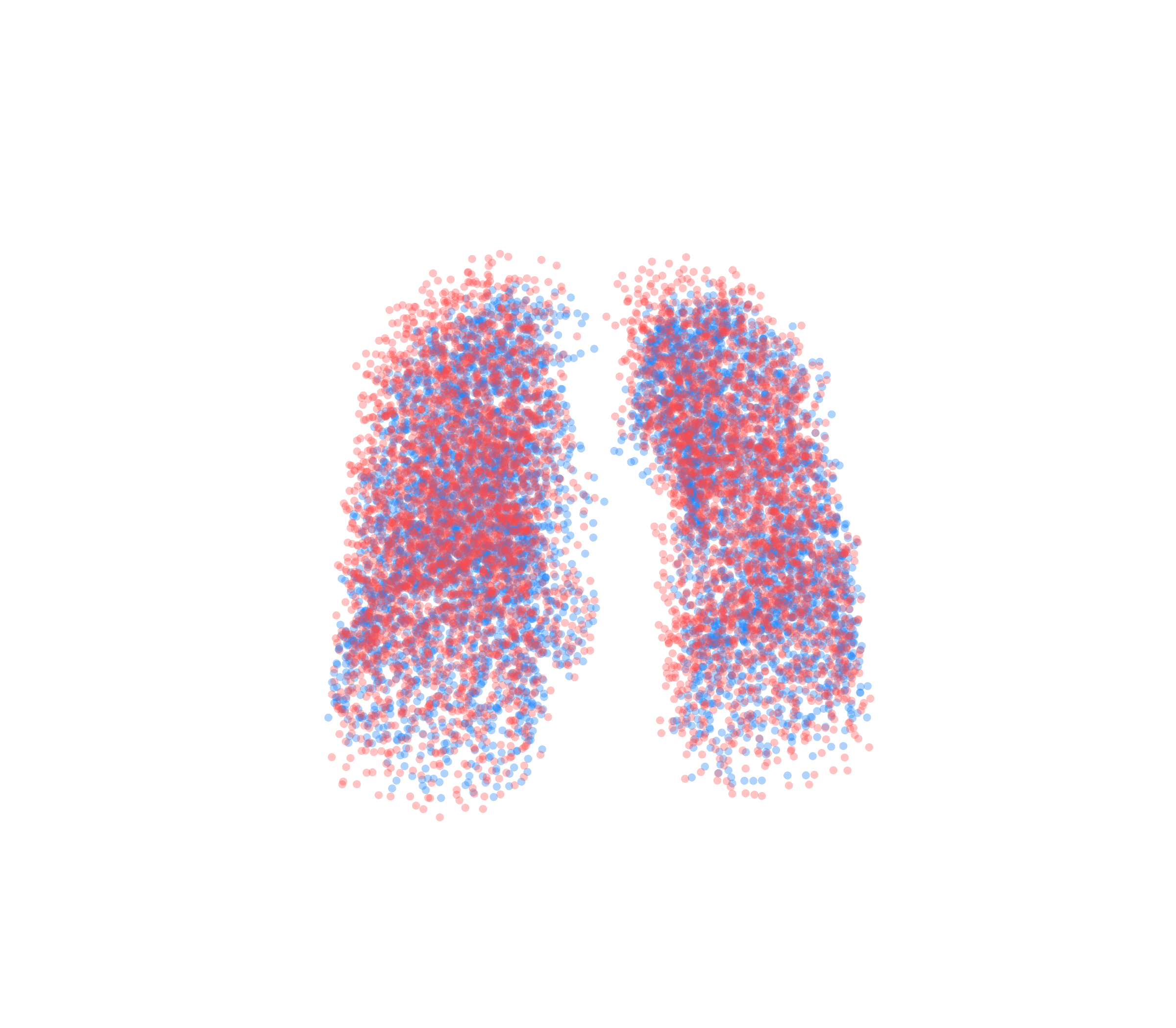 Point Cloud - Front View
