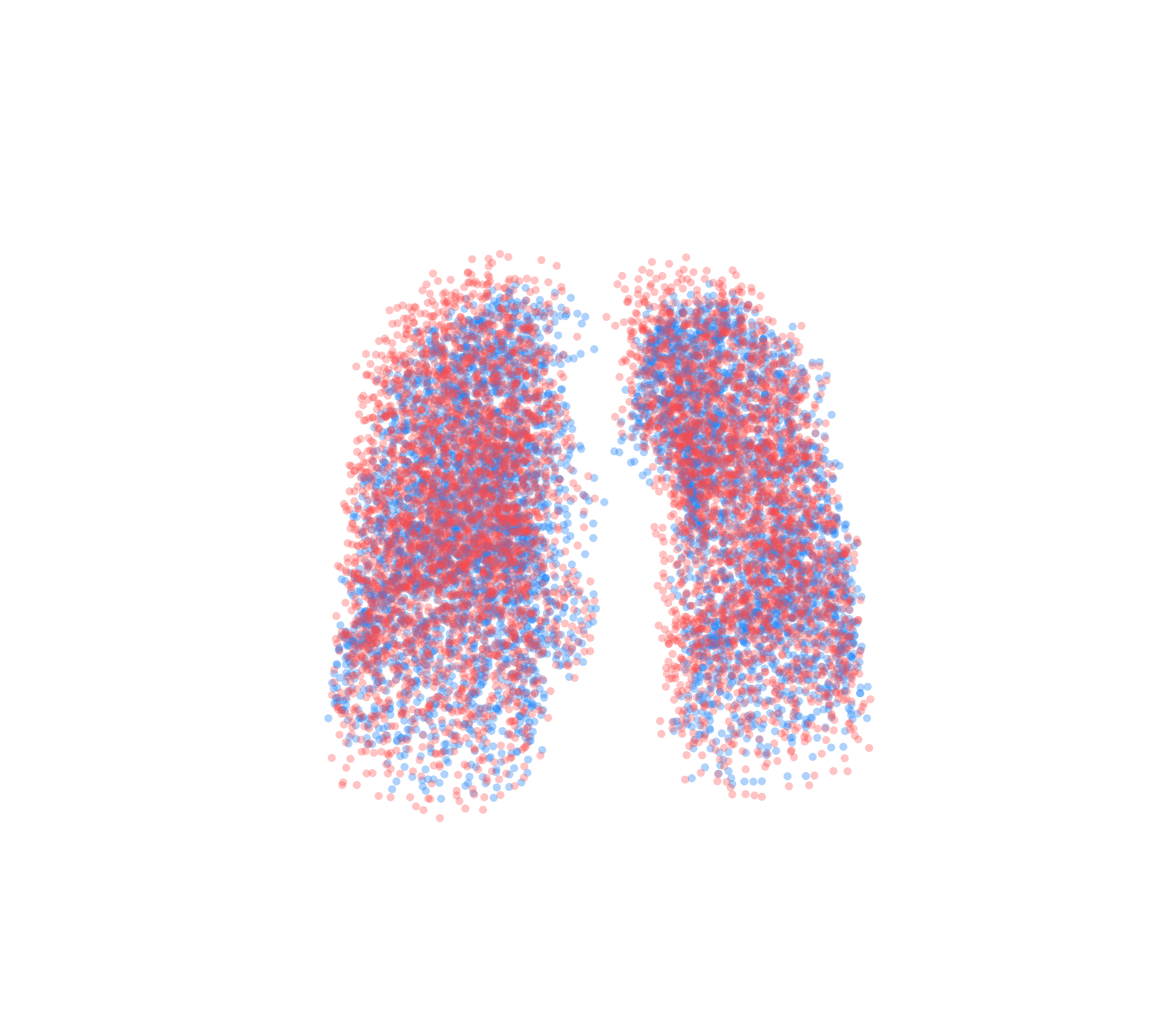 Point Cloud - Front View