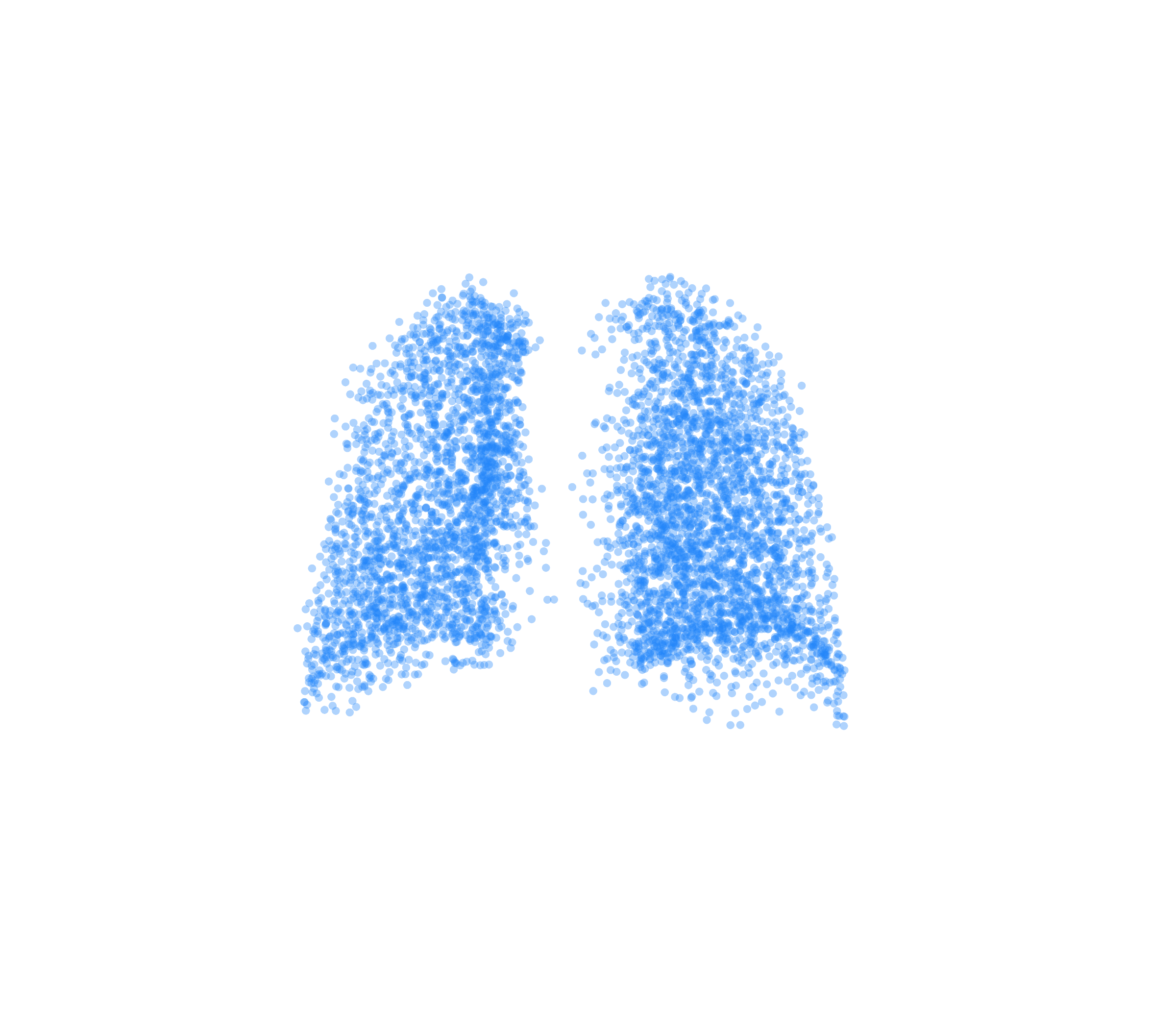 Point Cloud (Inspiration) - Back View