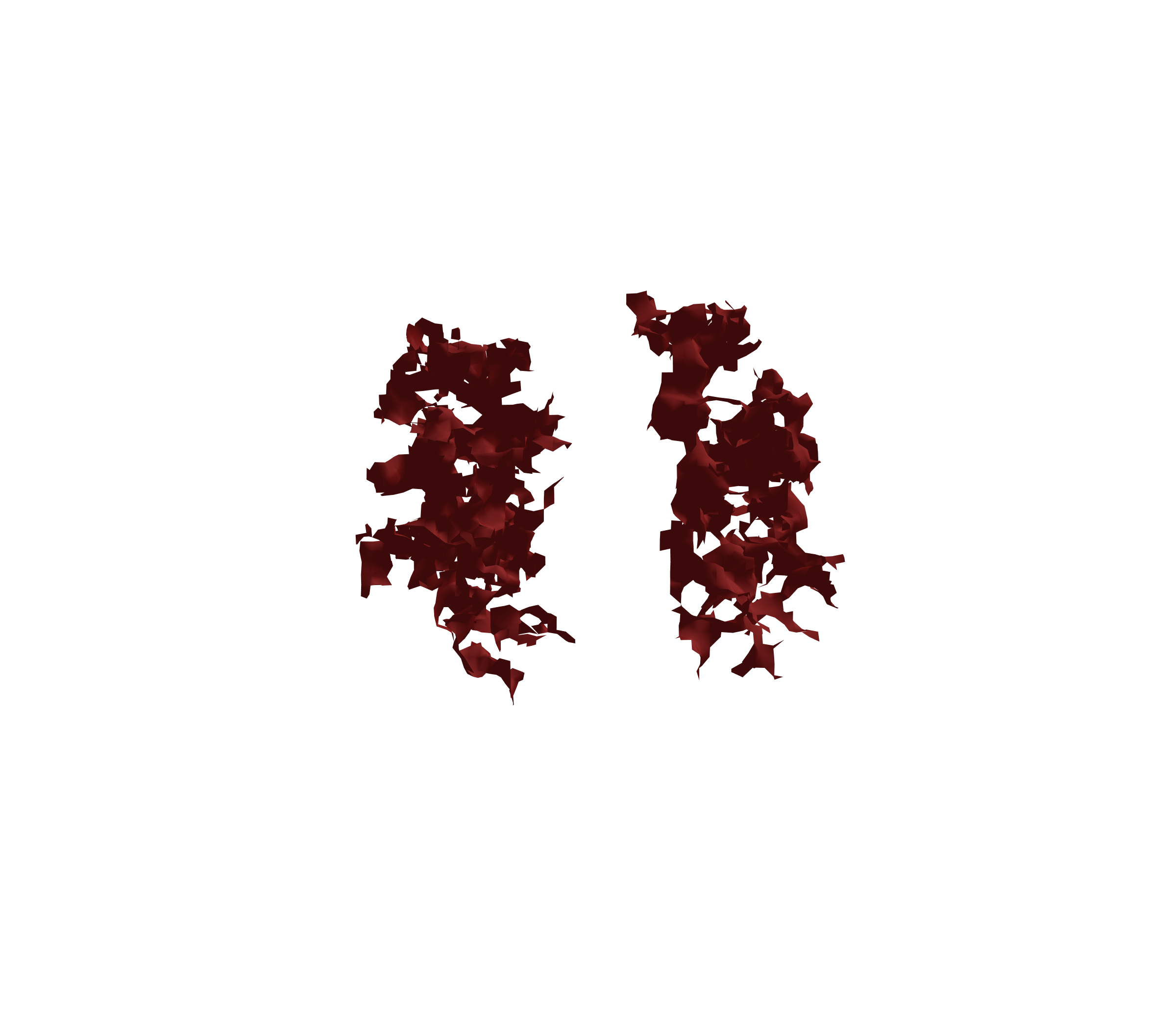 Surface Mesh (Expiration) - Front View