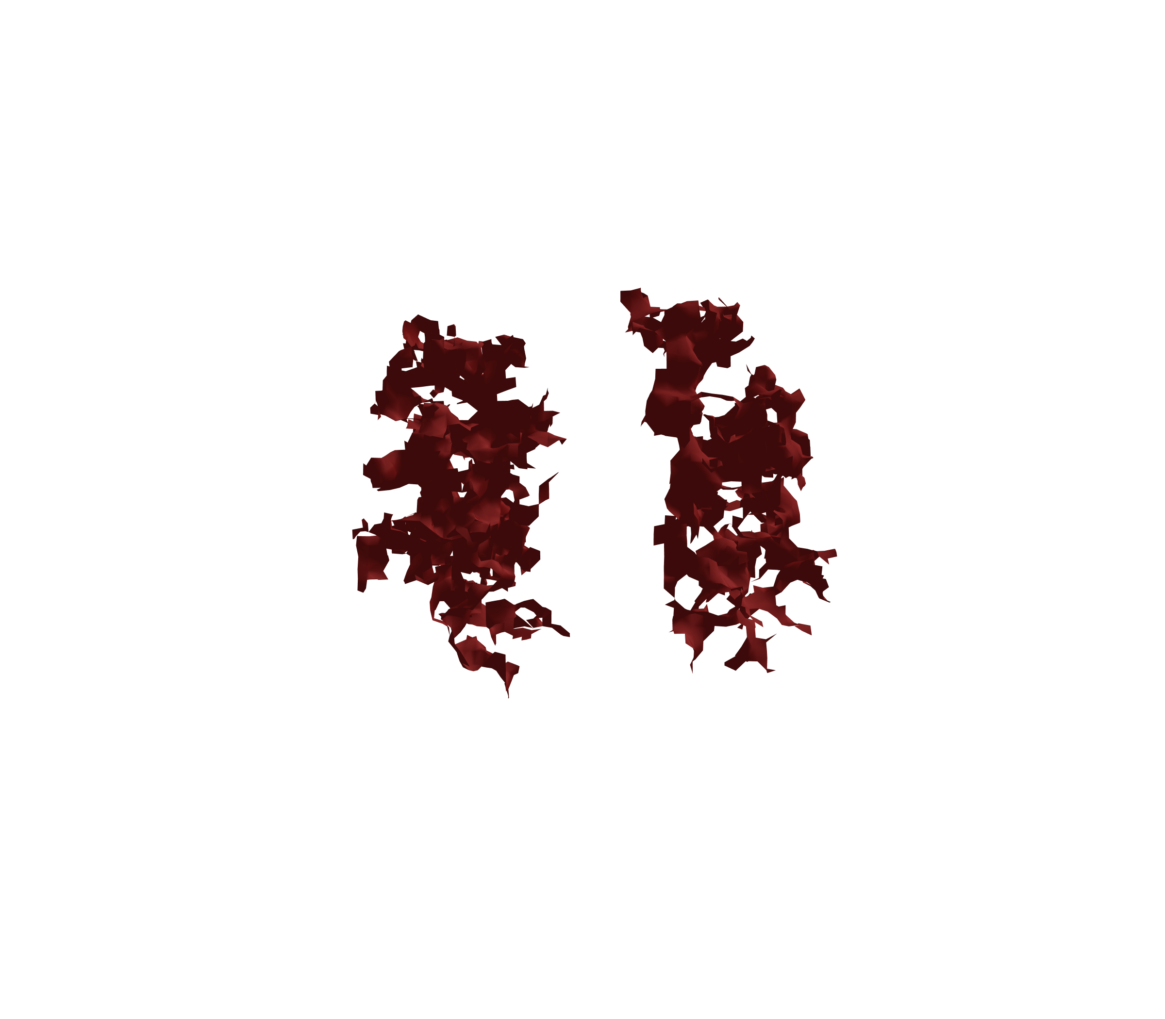 Surface Mesh (Expiration) - Front View