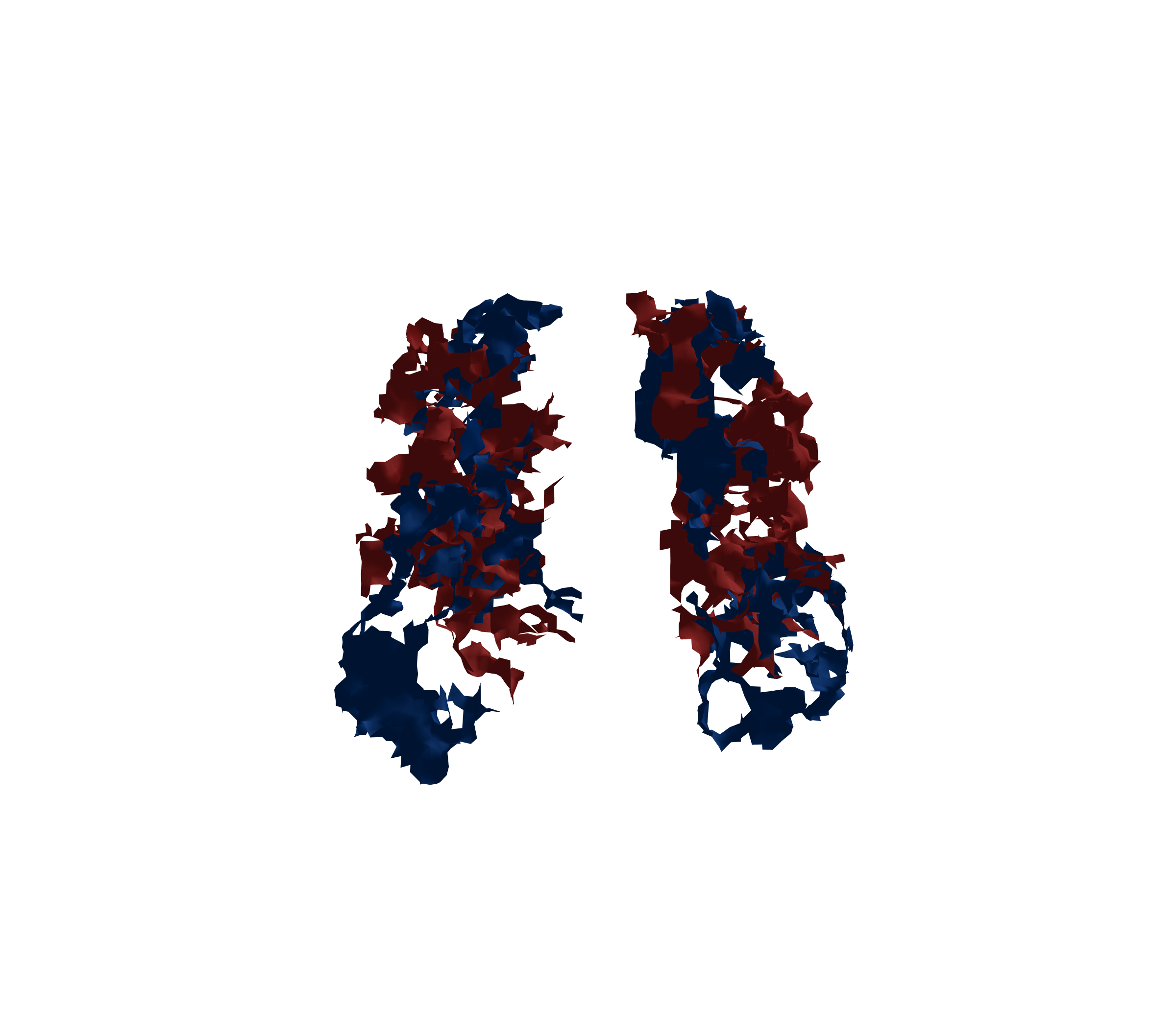 Surface Mesh - Front View