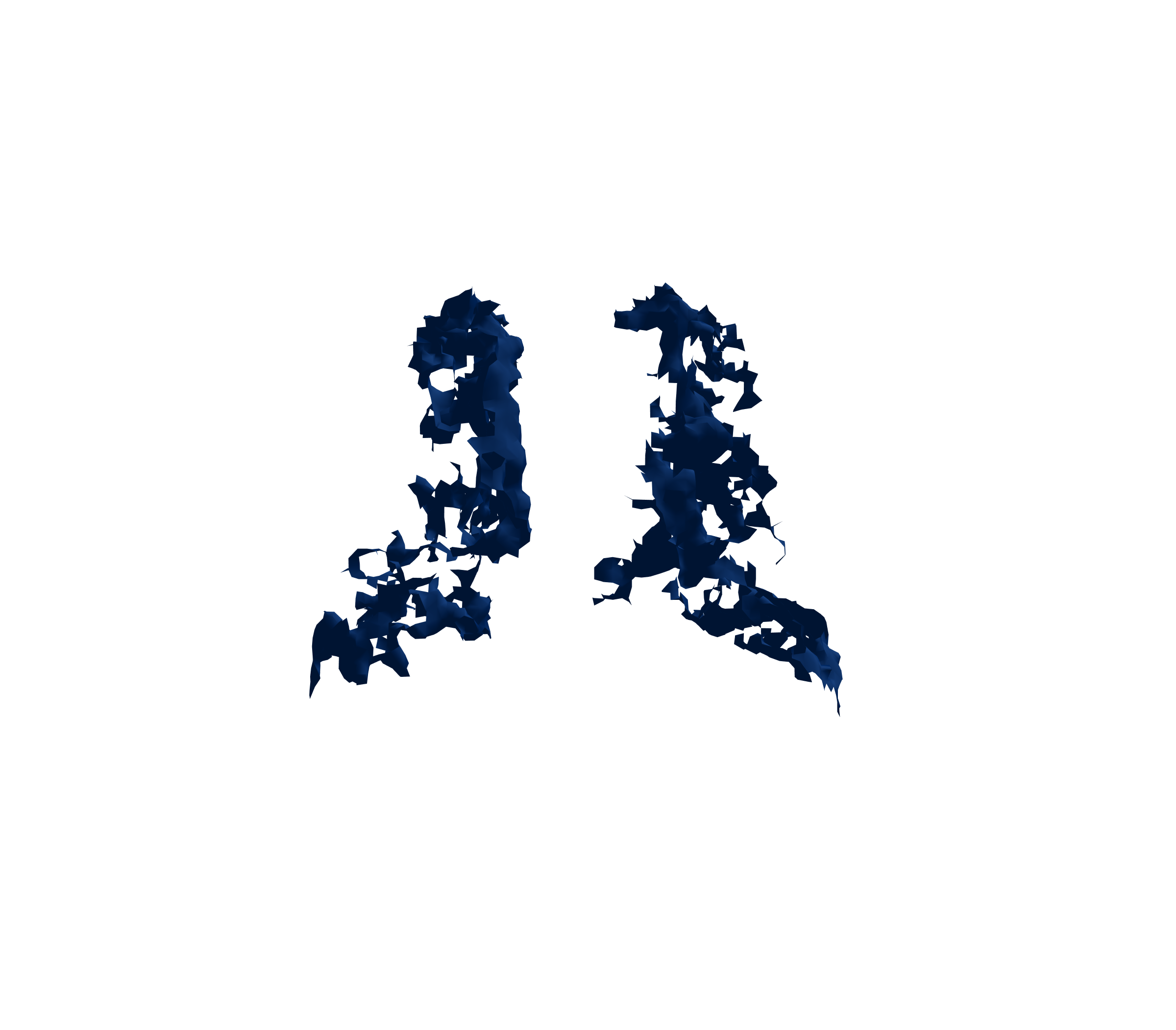 Surface Mesh (Inspiration) - Back View