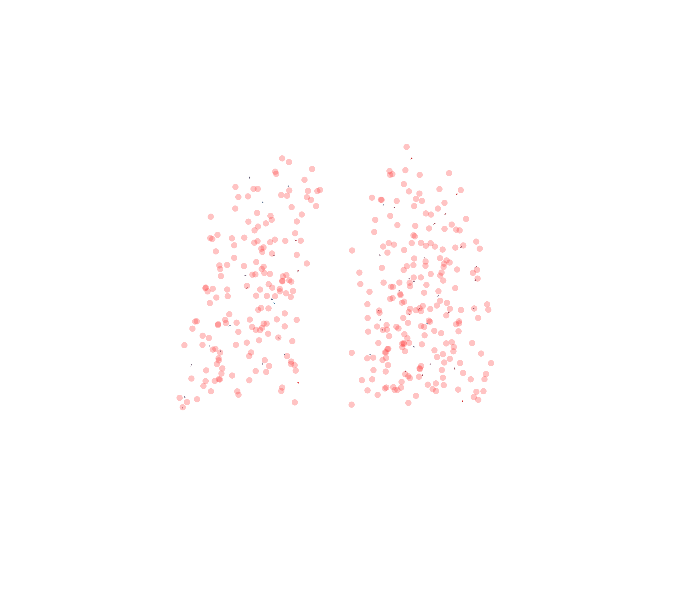 Displacement Vectors - Back View