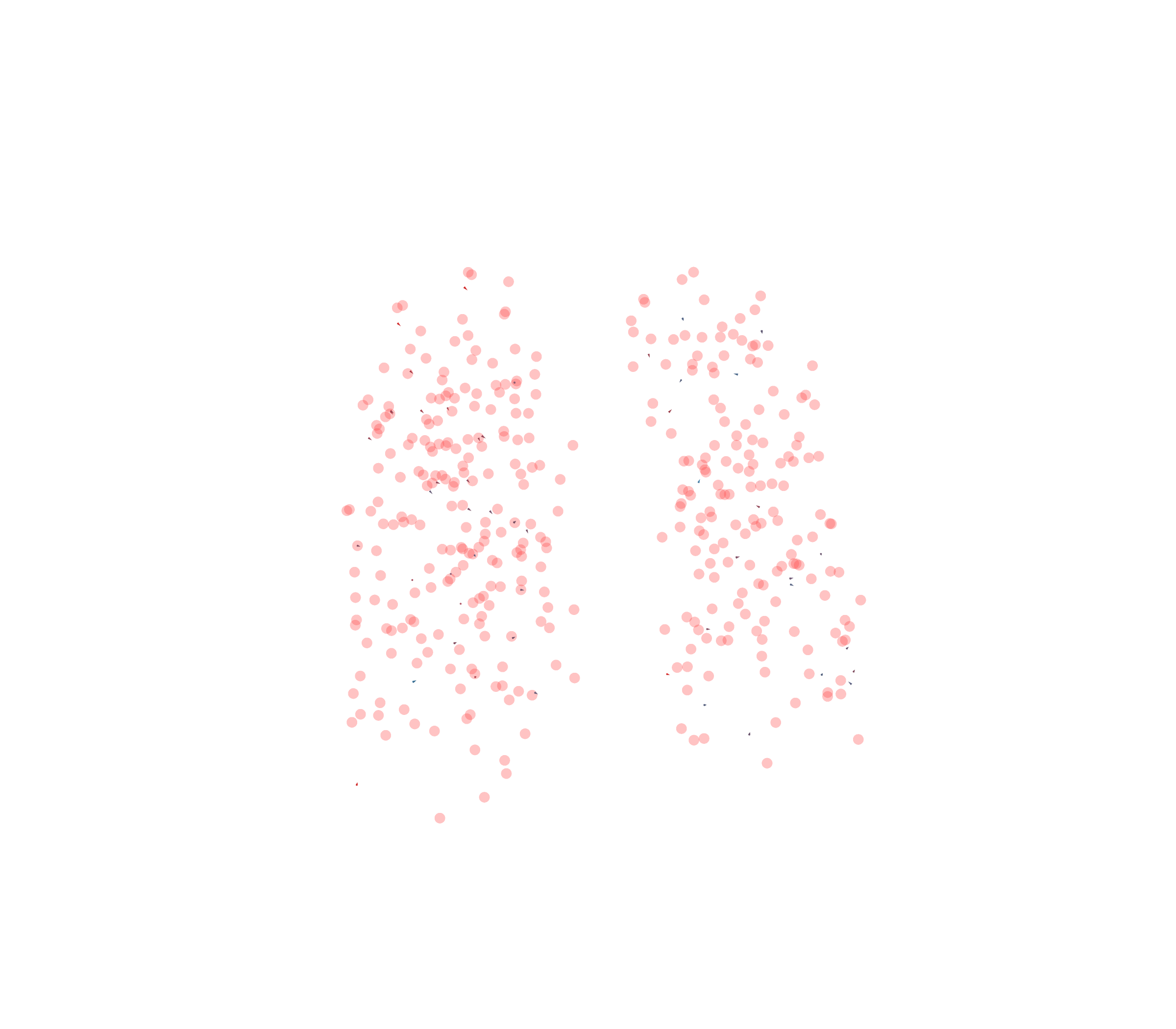 Displacement Vectors - Front View