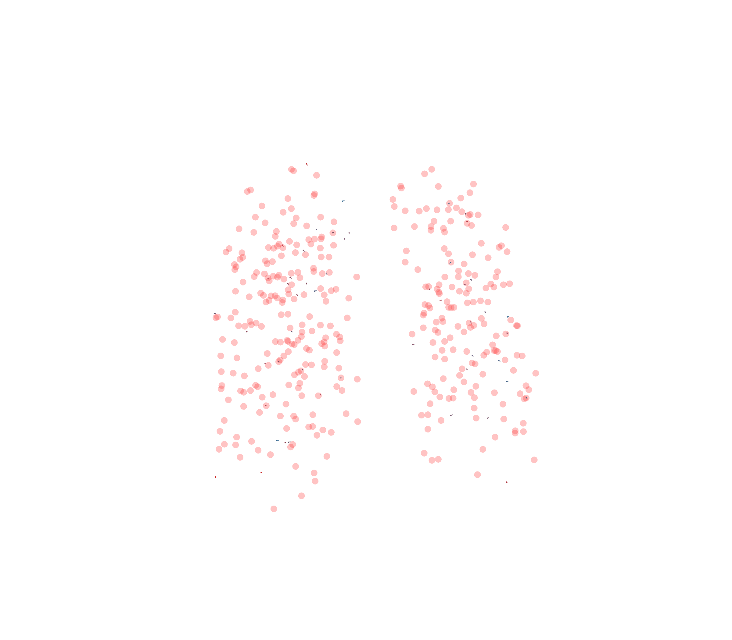 Displacement Vectors - Front View
