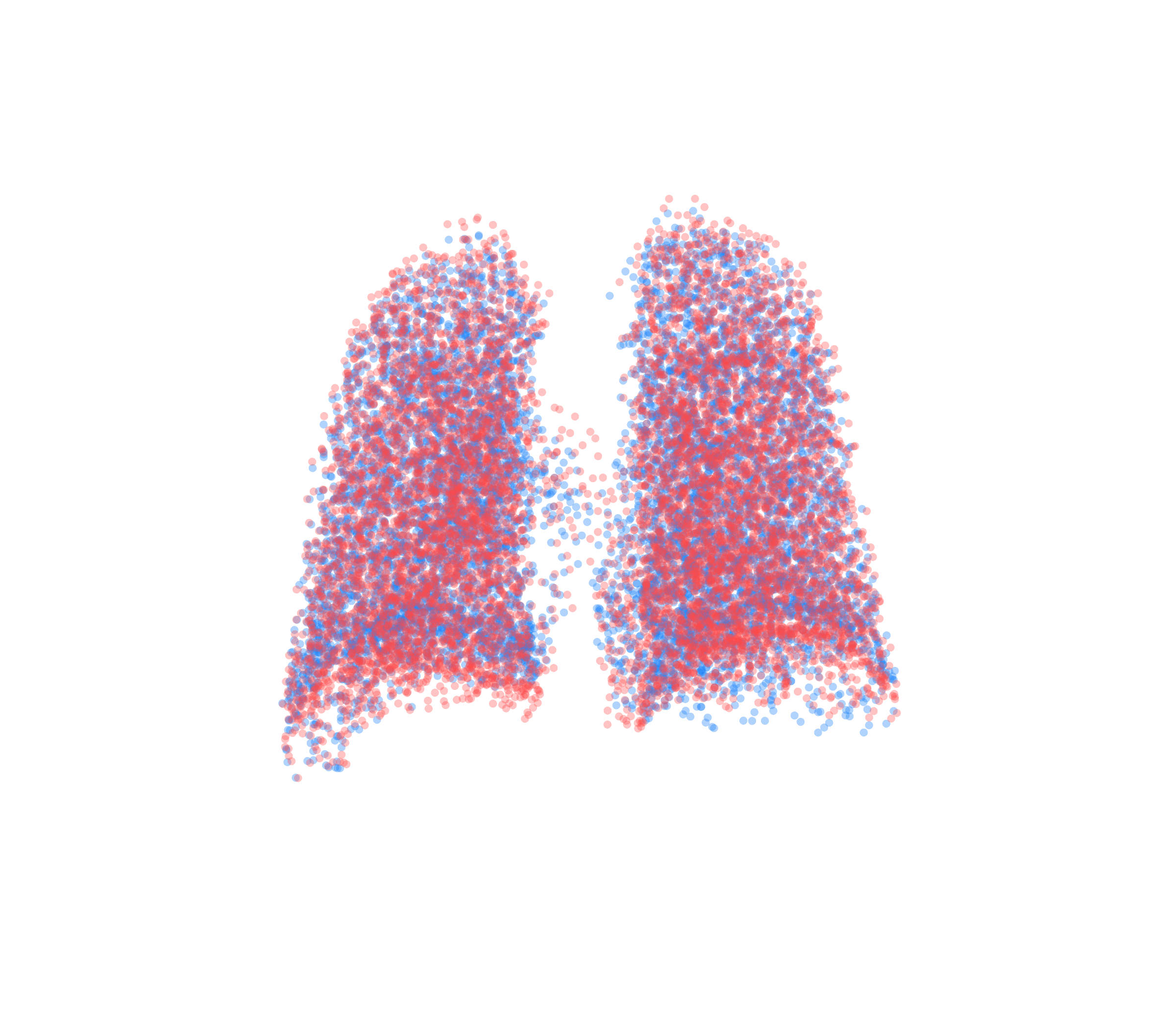 Point Cloud - Back View
