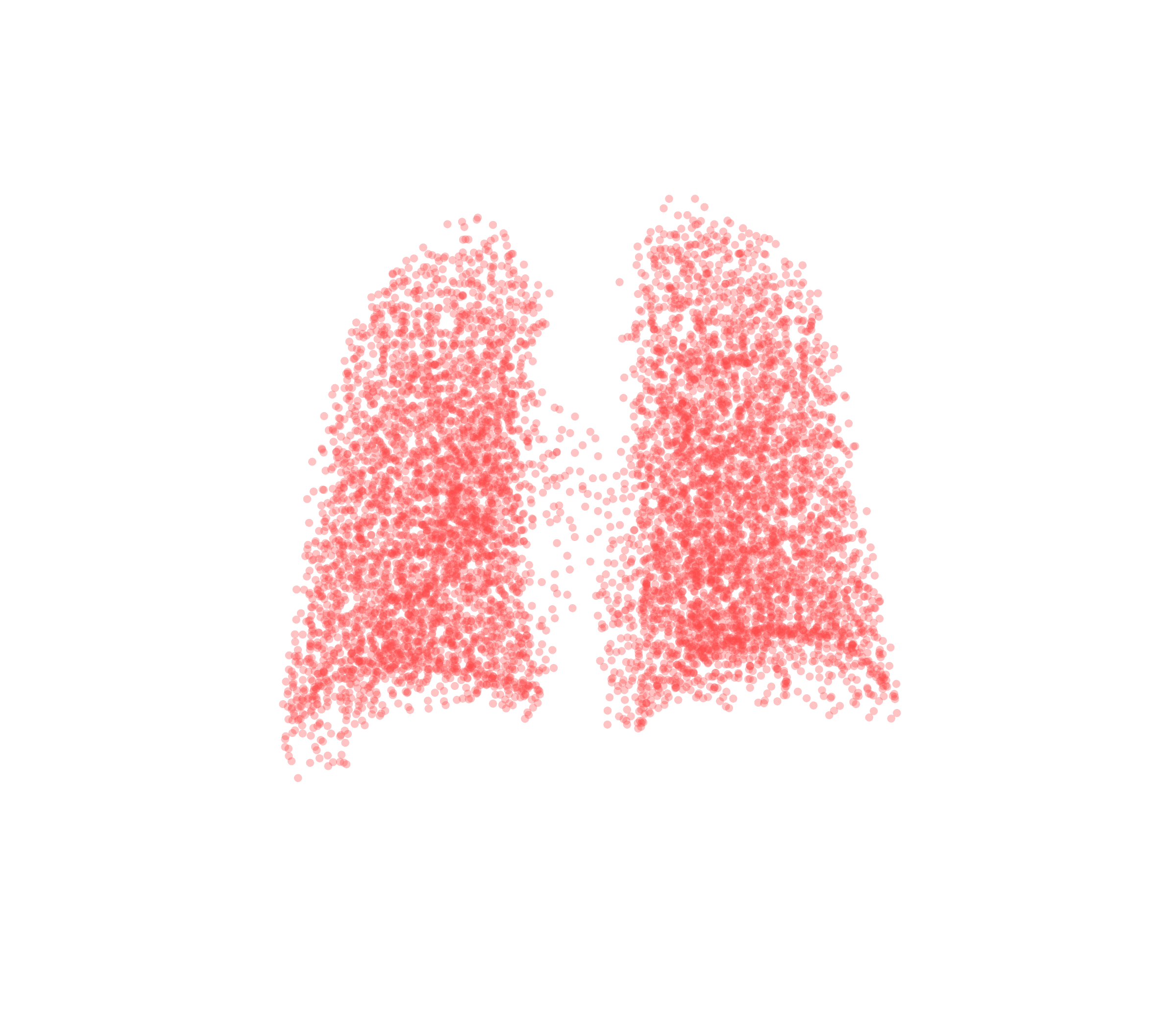 Point Cloud (Expiration) - Back View