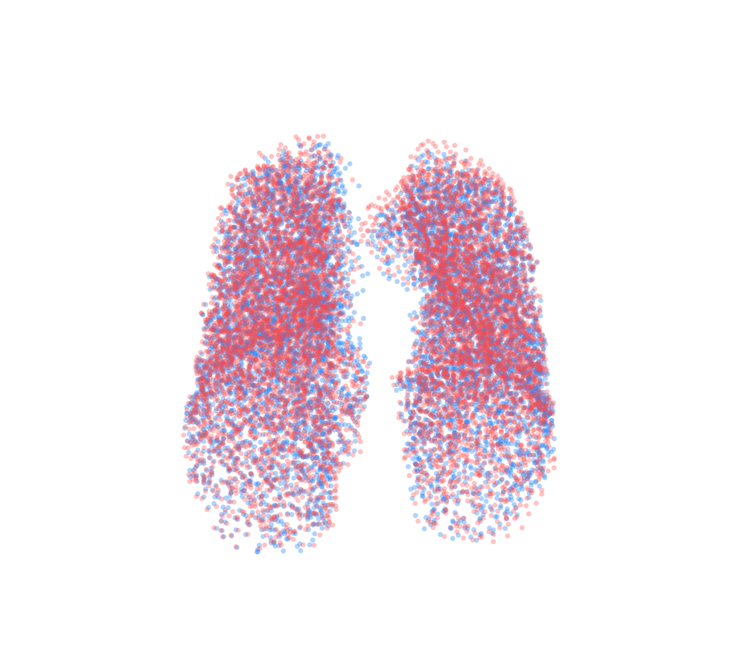 Point Cloud - Front View