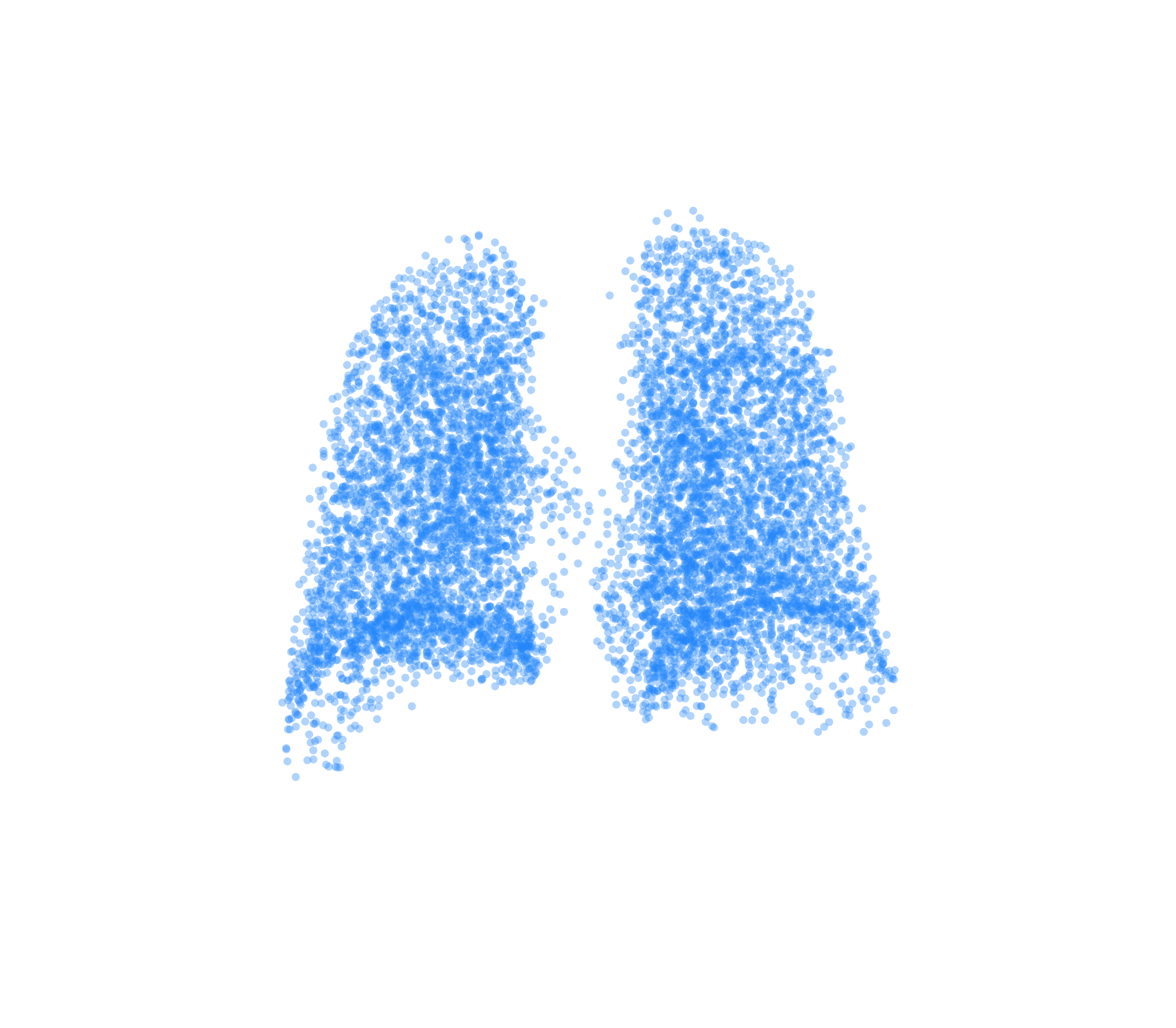 Point Cloud (Inspiration) - Back View